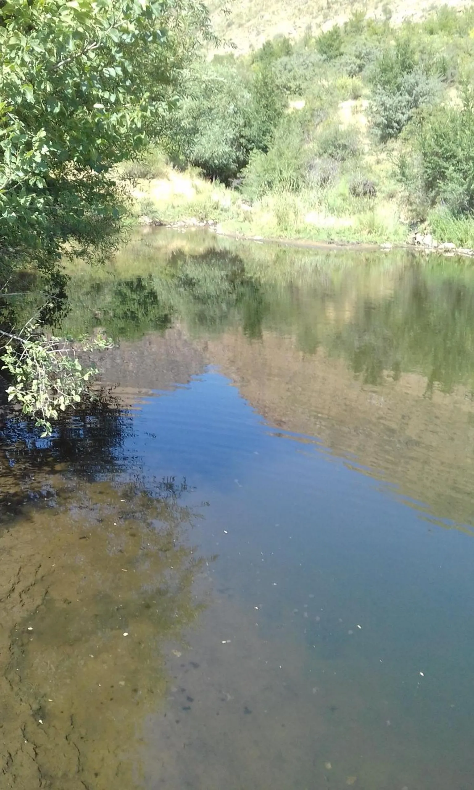 Natural landscape in Shushan GUEST HOUSE
