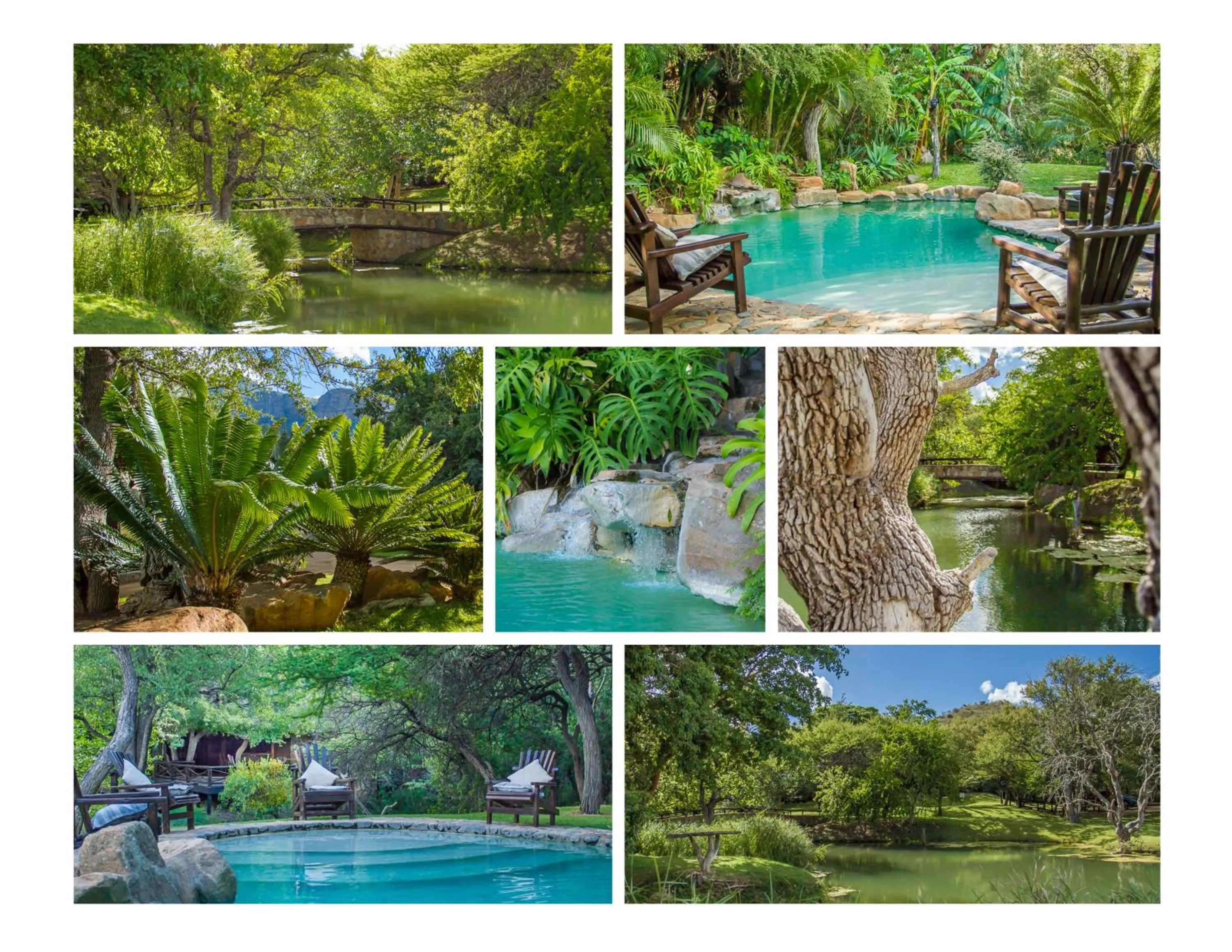 Garden in LittleBush Private Lodge