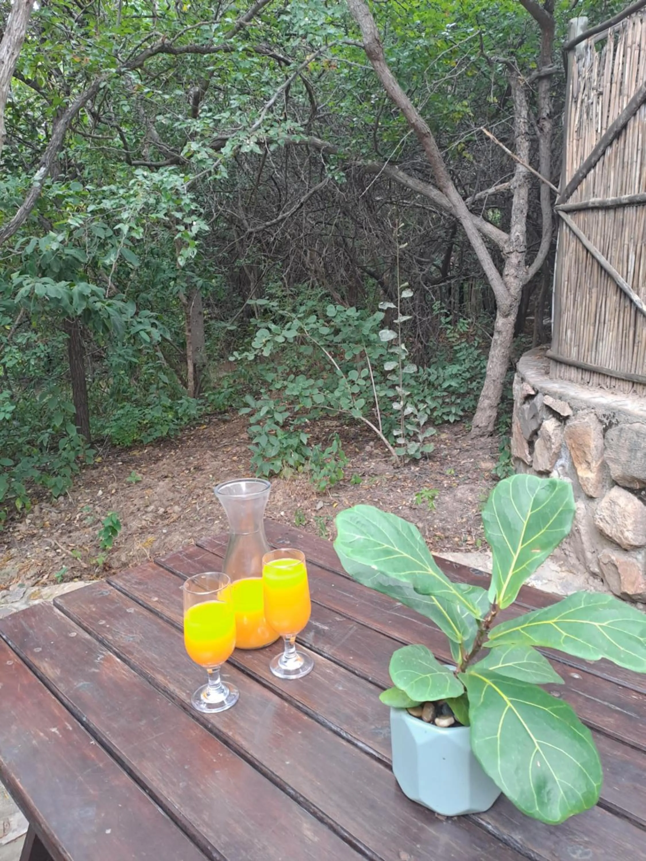 Patio in LittleBush Private Lodge