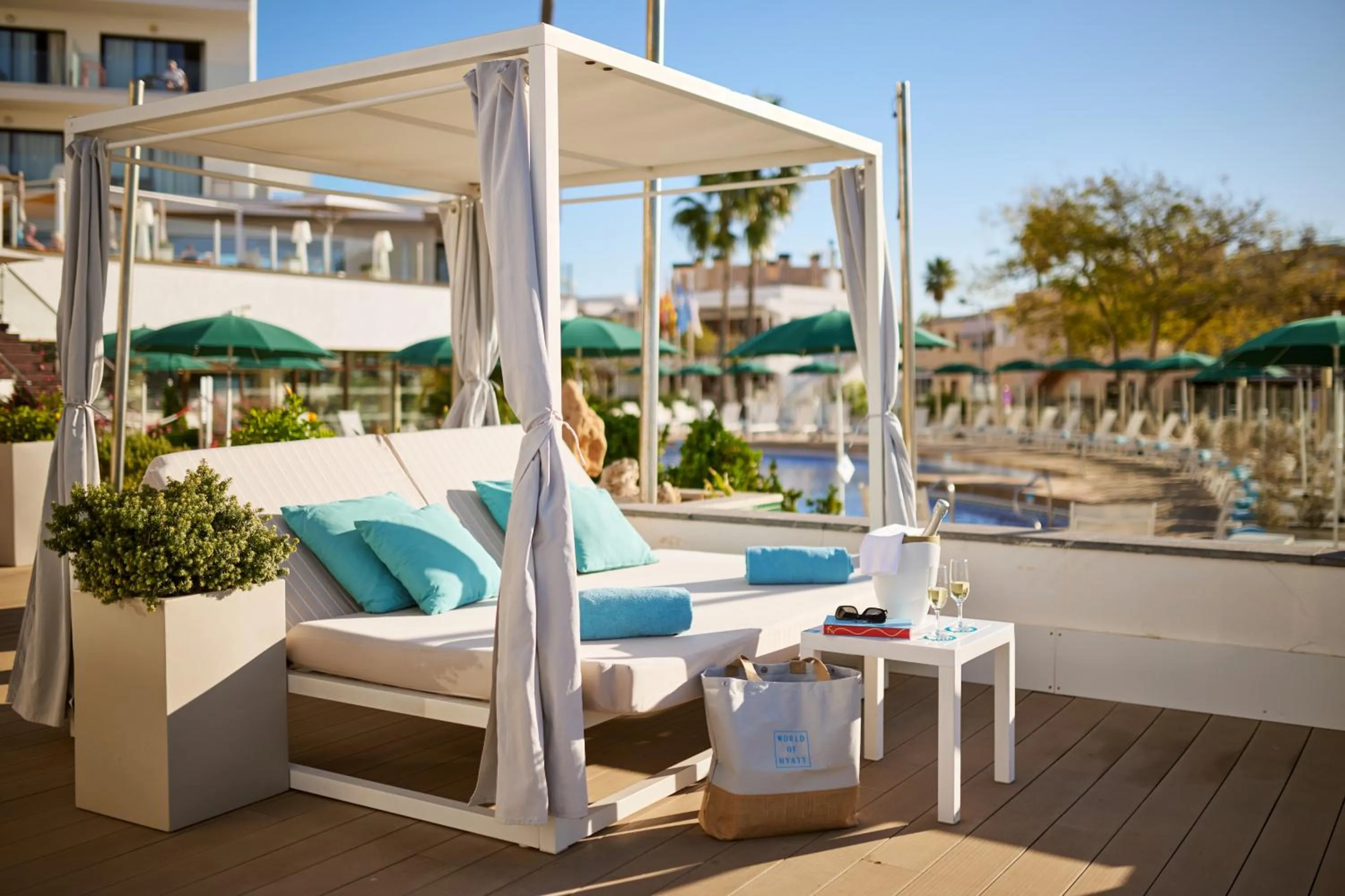 Solarium in AluaSoul Palma Hotel Adults Only