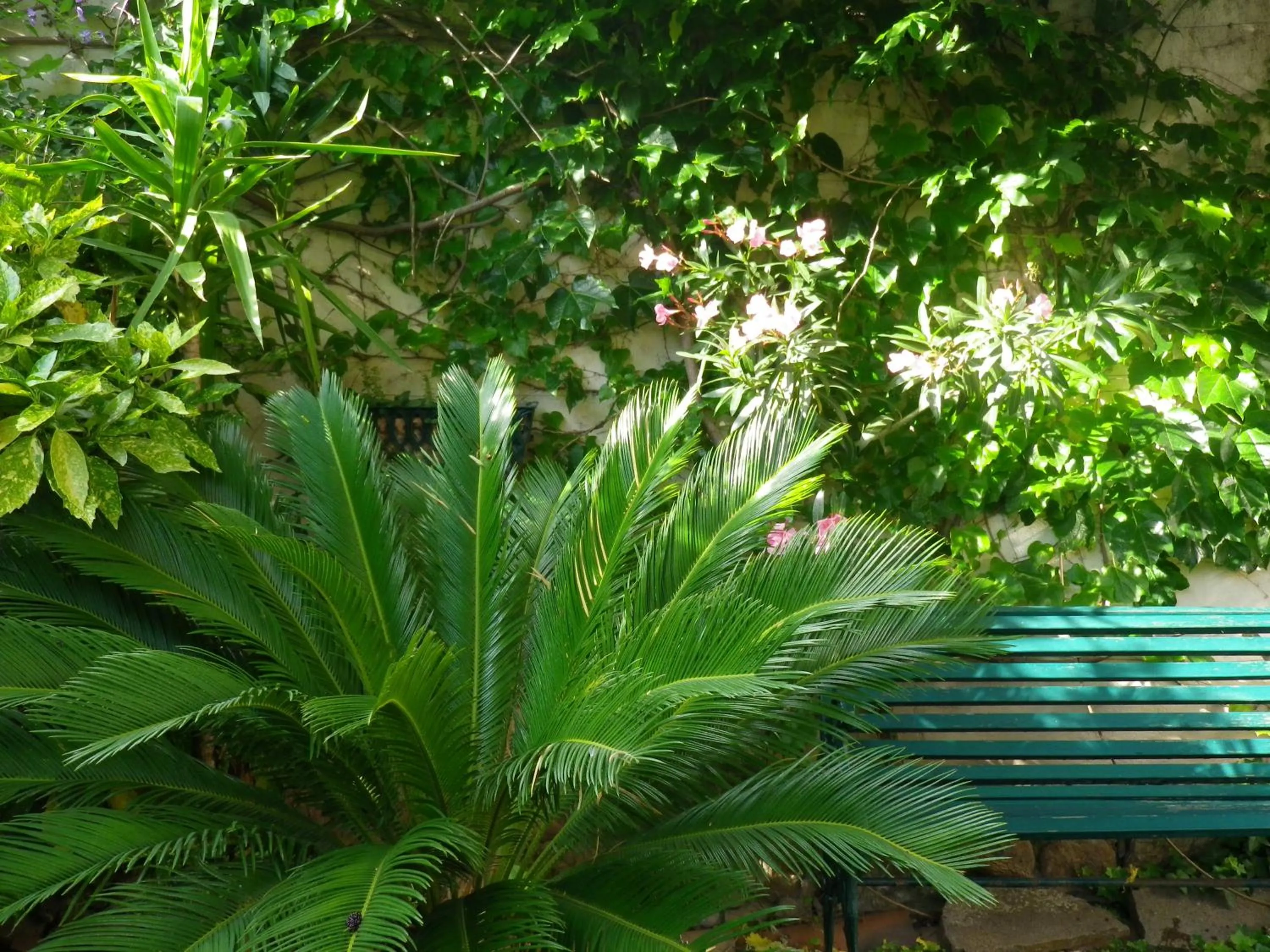 Property building in Chez Catherine