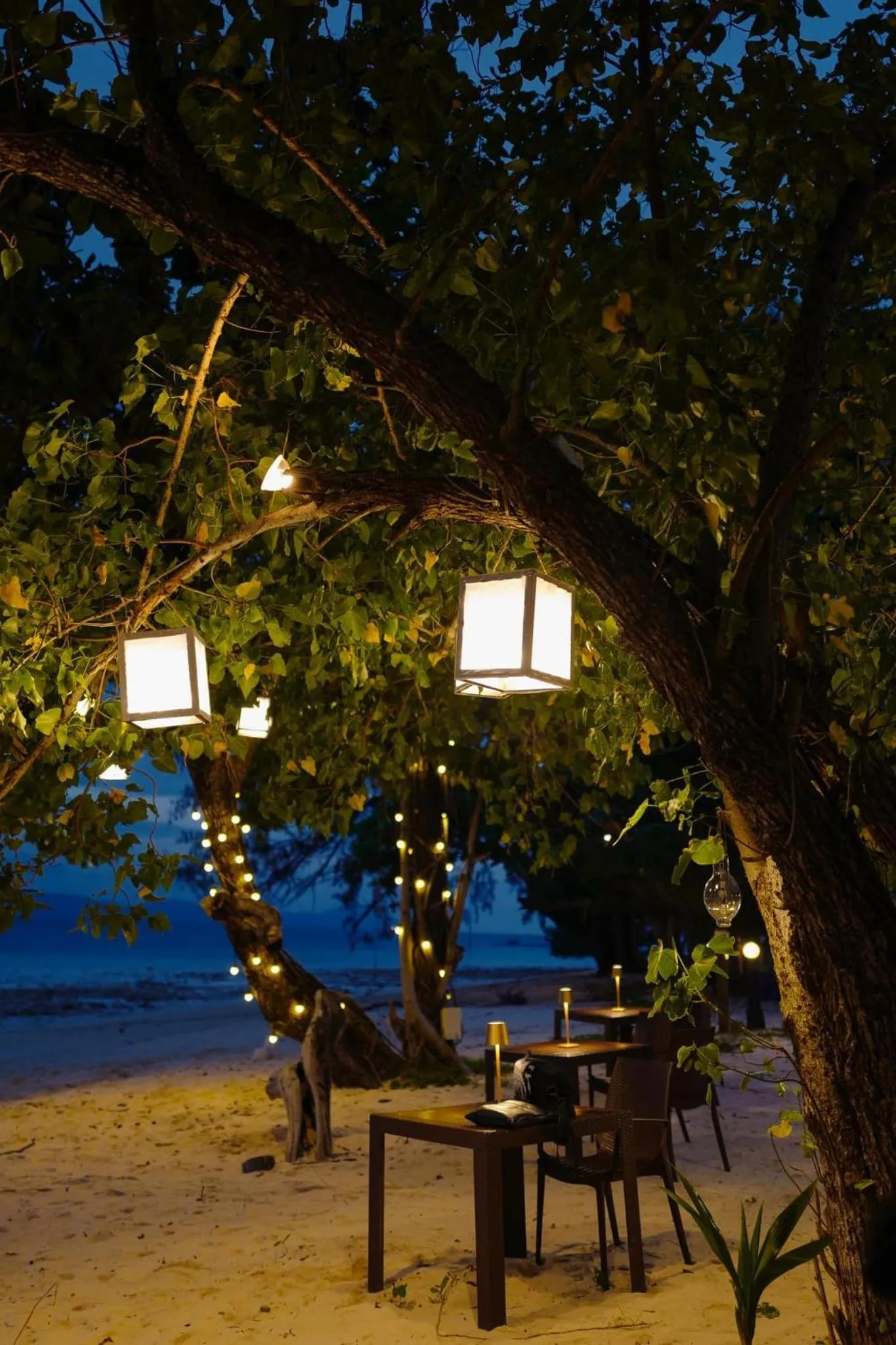 Restaurant/places to eat in Sevenseas Resort Koh Kradan