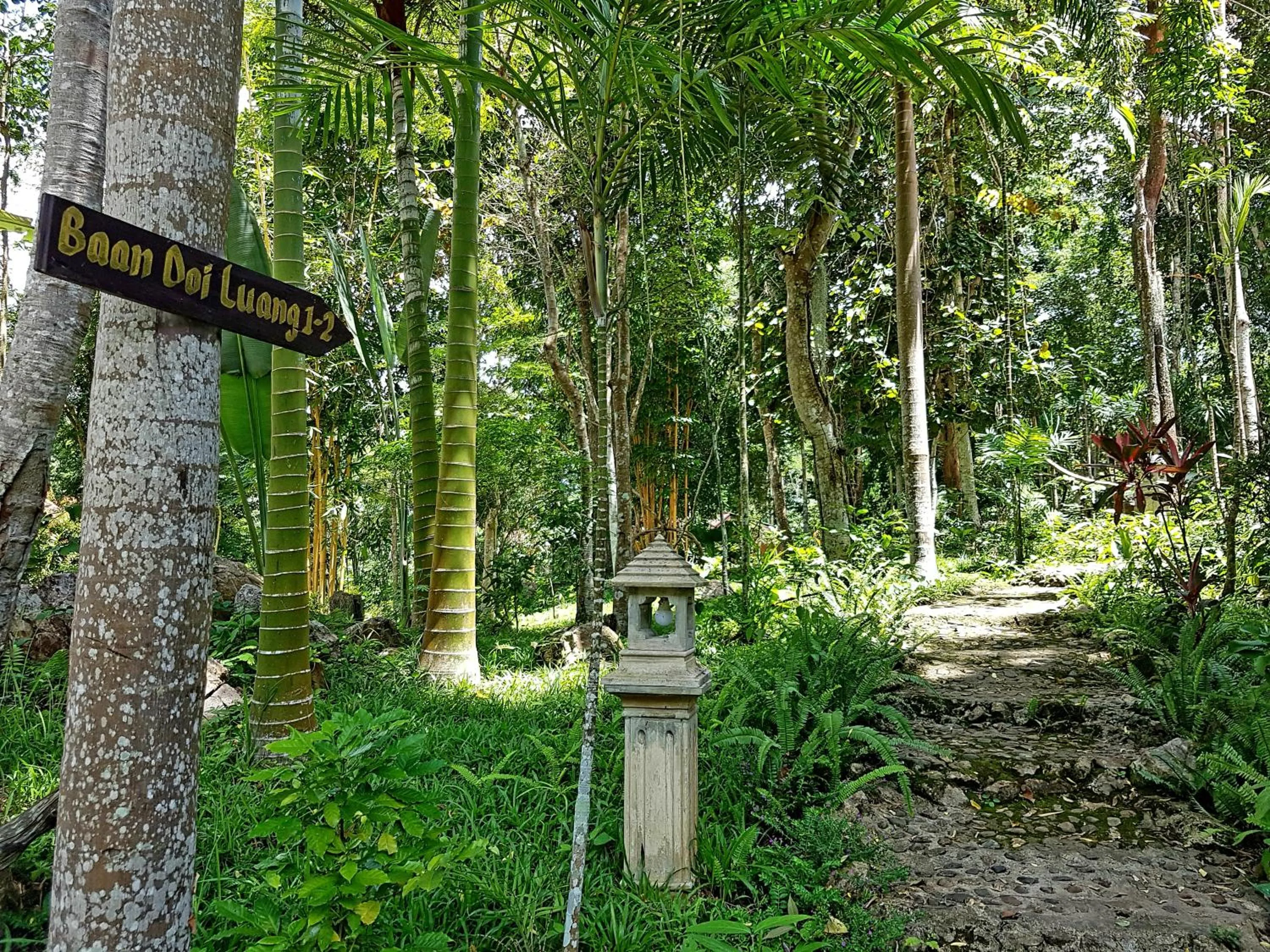 Garden in Marisa Resort & Spa Chiang Dao