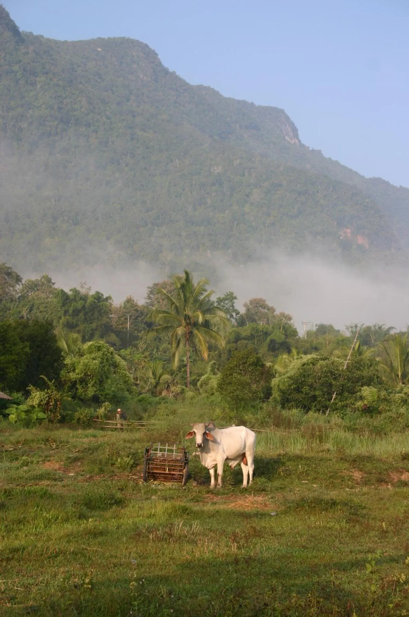 Mountain view in Marisa Resort & Spa Chiang Dao