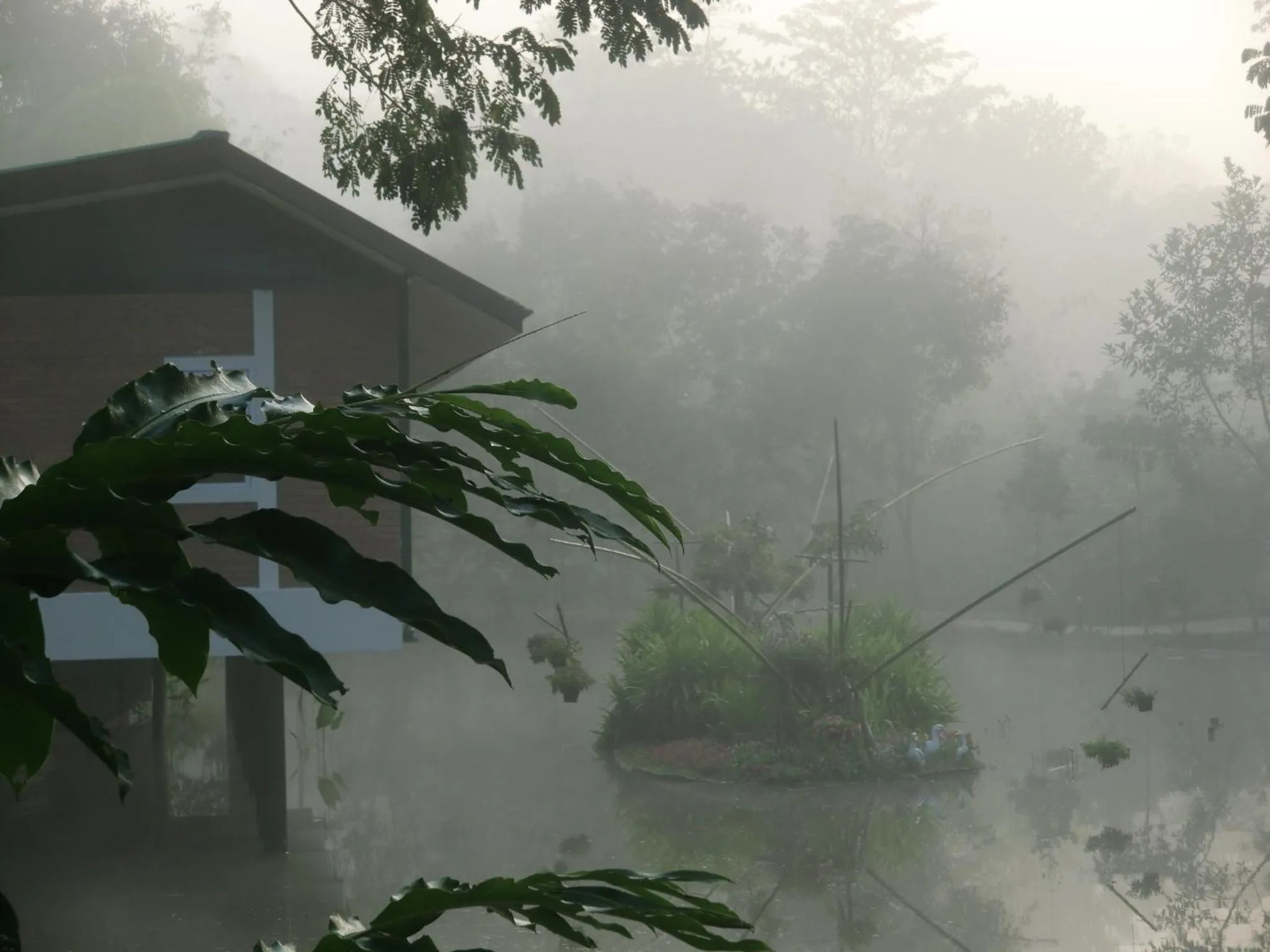 Natural landscape in Marisa Resort & Spa Chiang Dao