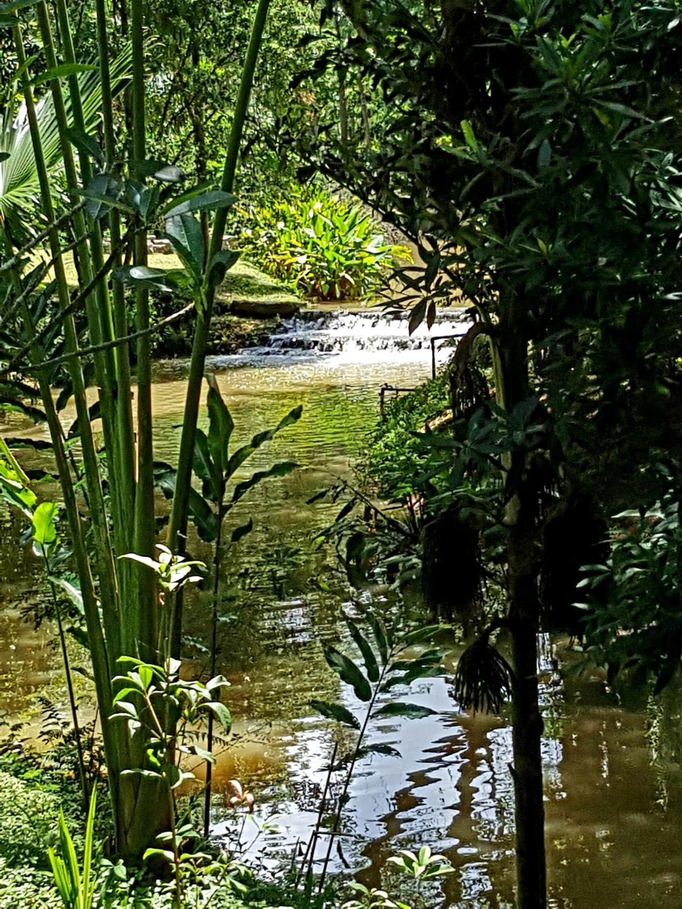 Other in Marisa Resort & Spa Chiang Dao
