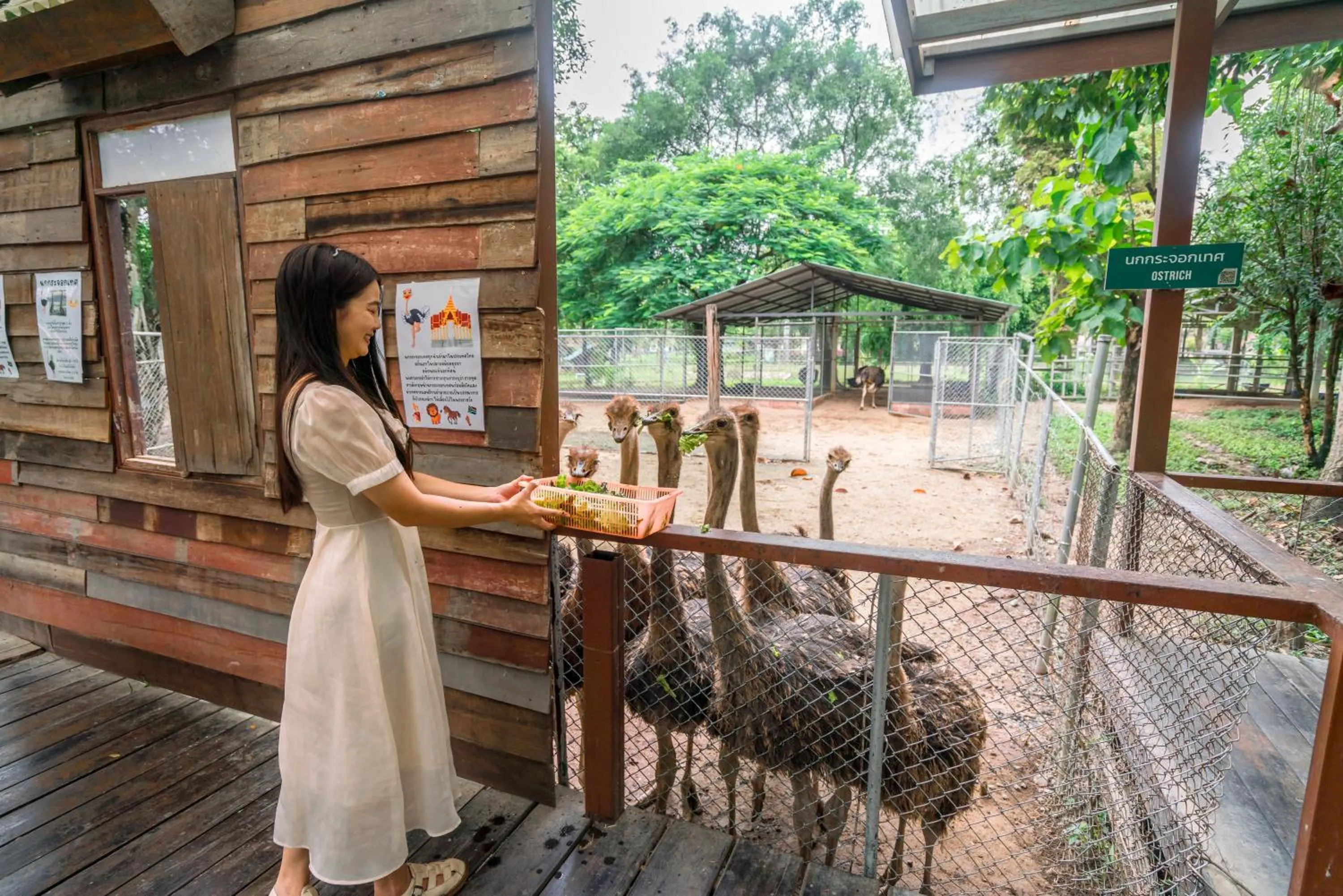 Garden in Horizon Village & Resort
