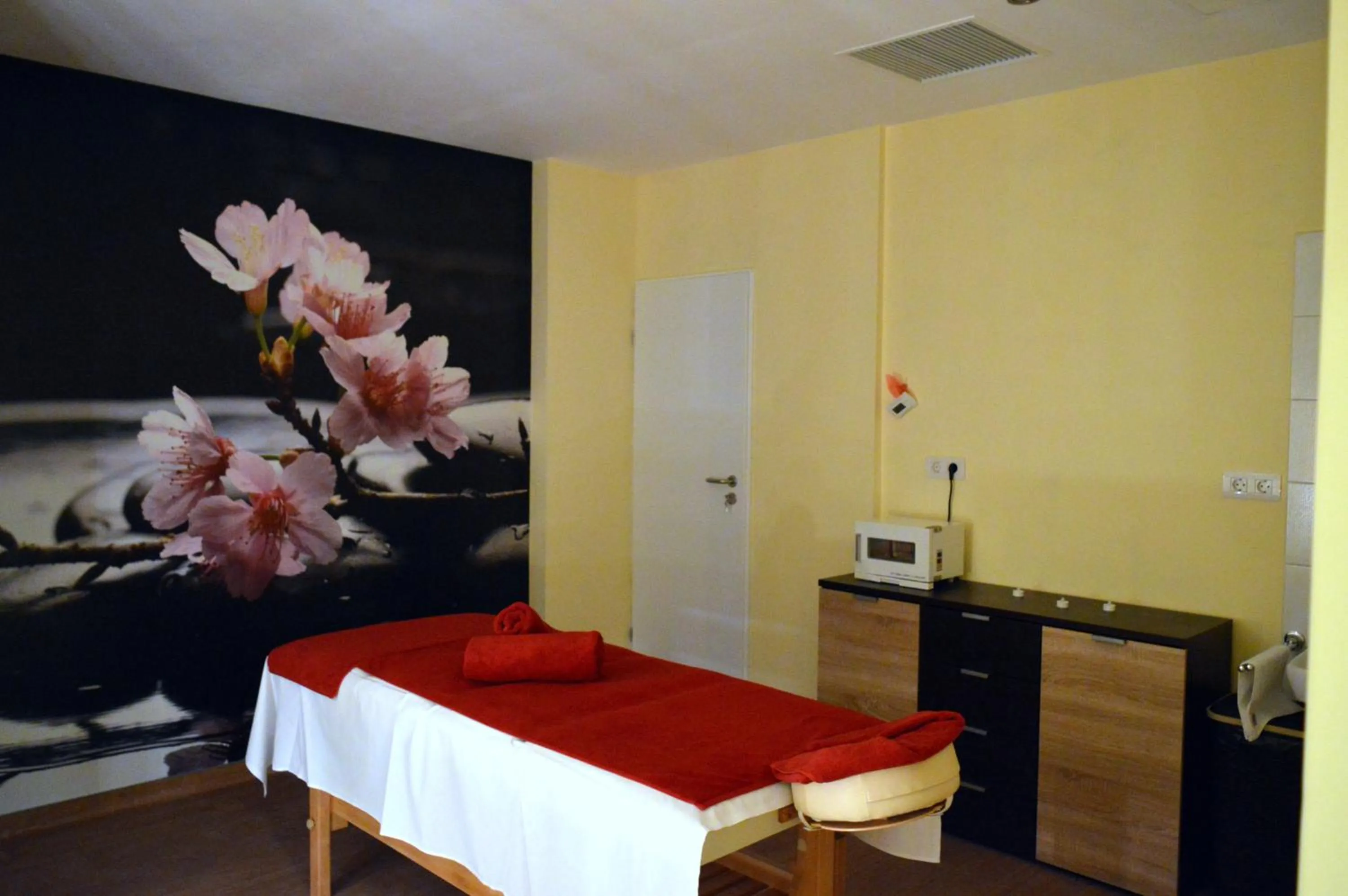 Massage, Bed in Salis Hotel & Medical Spa