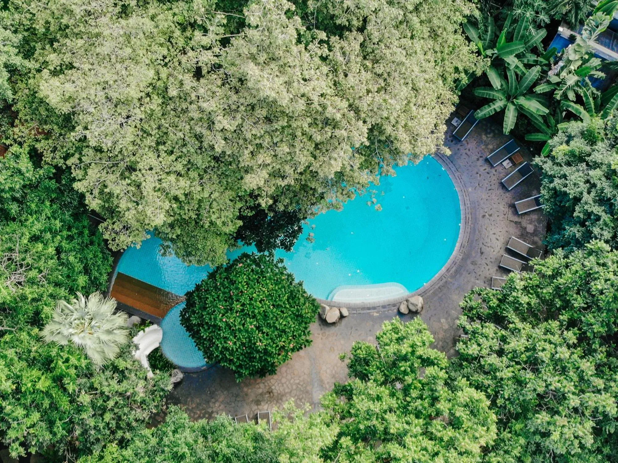 Swimming pool in Woodlands Hotel and Resort Pattaya