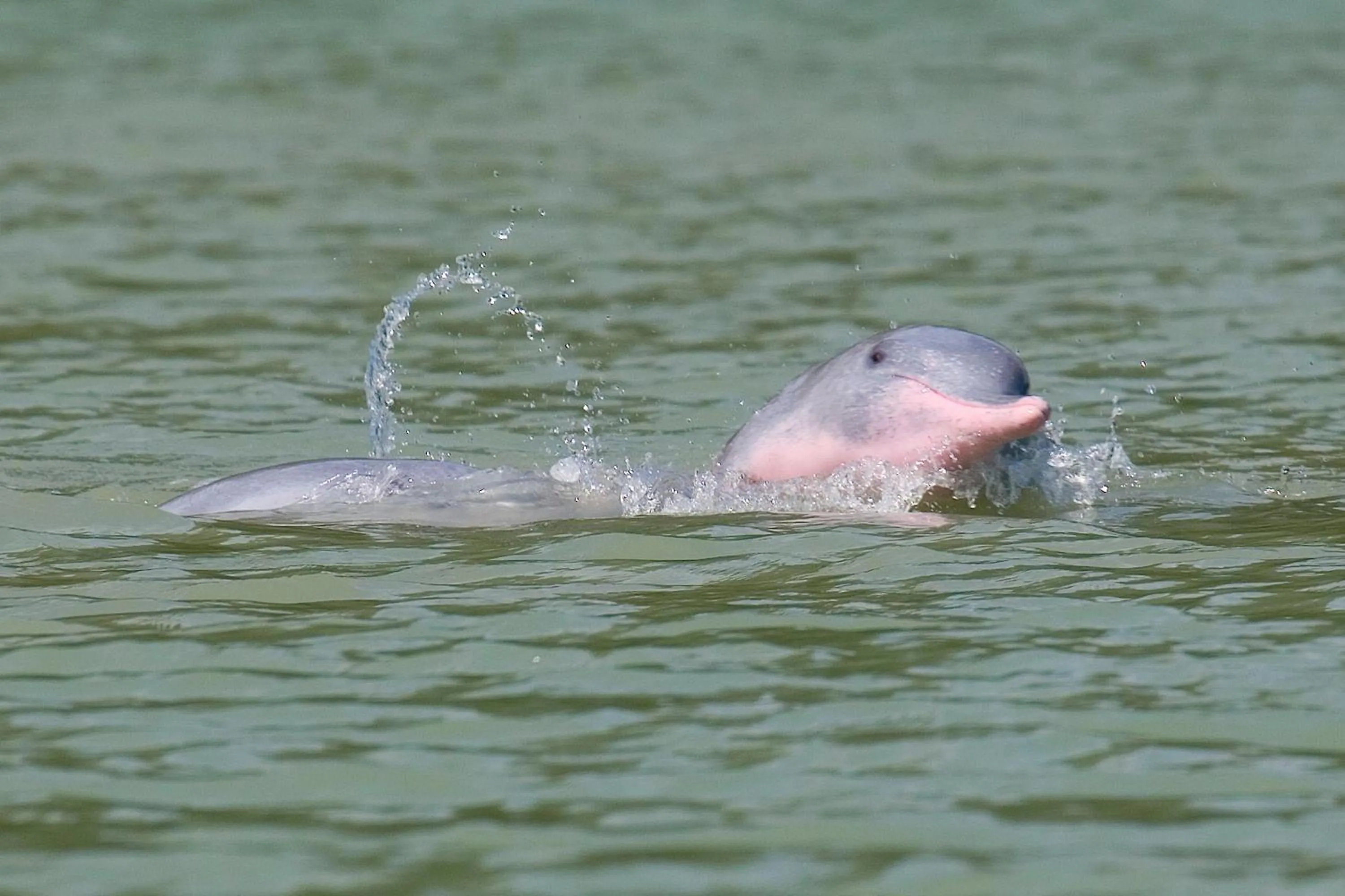 Activities in Aava Resort and Spa