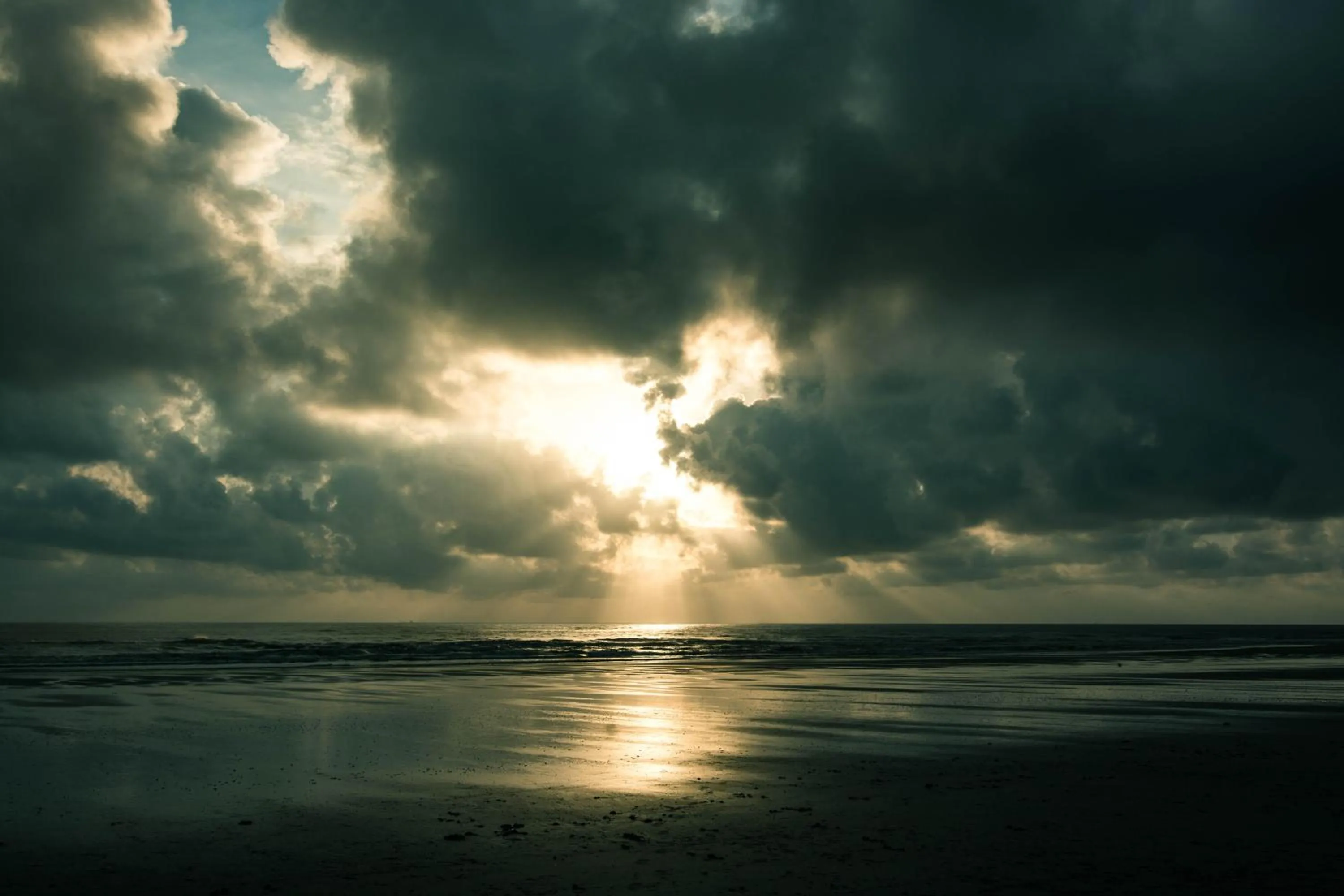 Natural landscape in Holiday Homes At Samsuria Resort