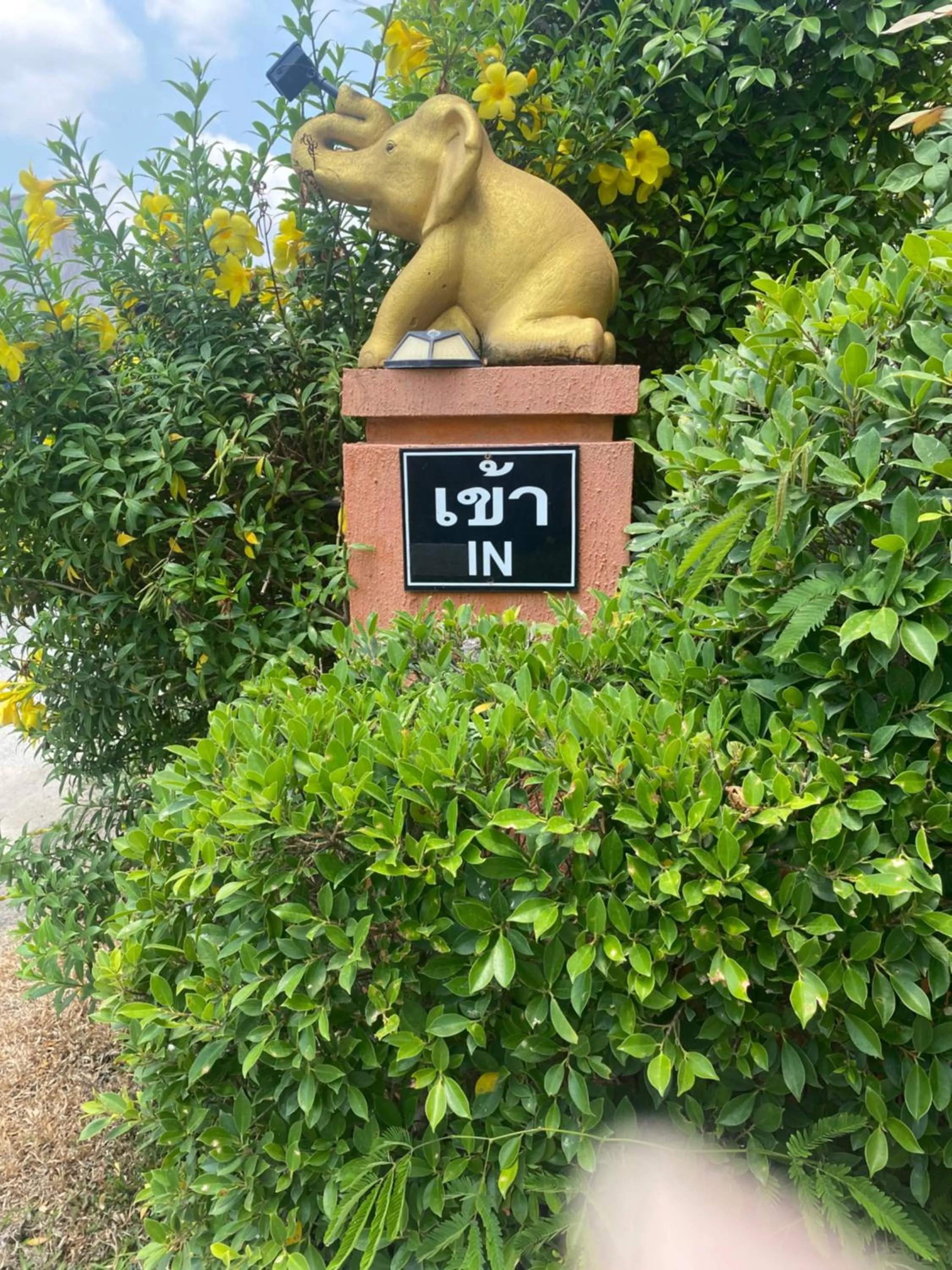 Garden in Plai And Herbs Suvarnabhumi Airport