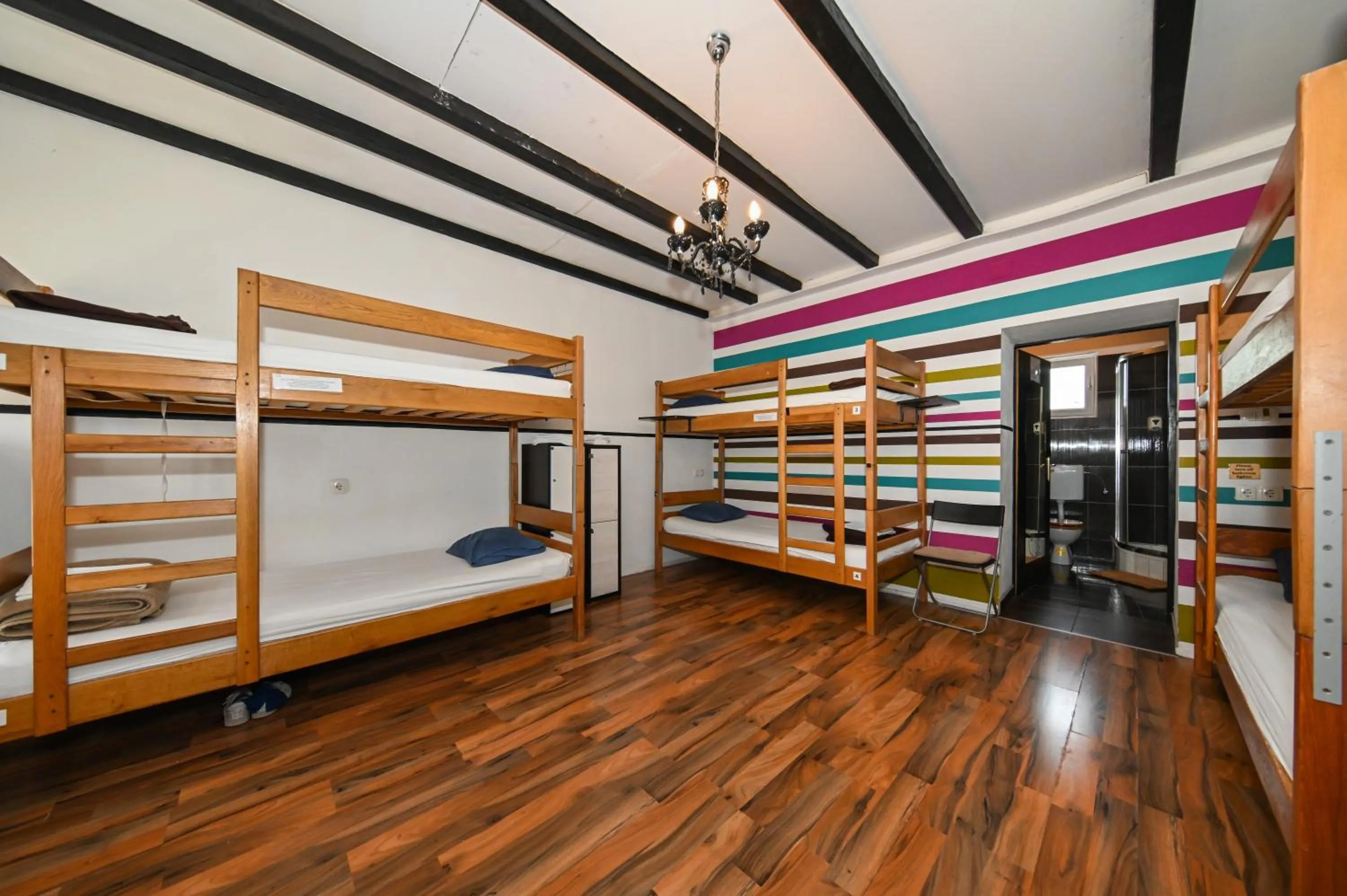 The Lazy Monkey Hostel & Apartments