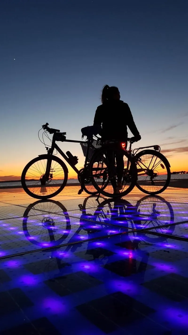 The Lazy Monkey Hostel & Apartments