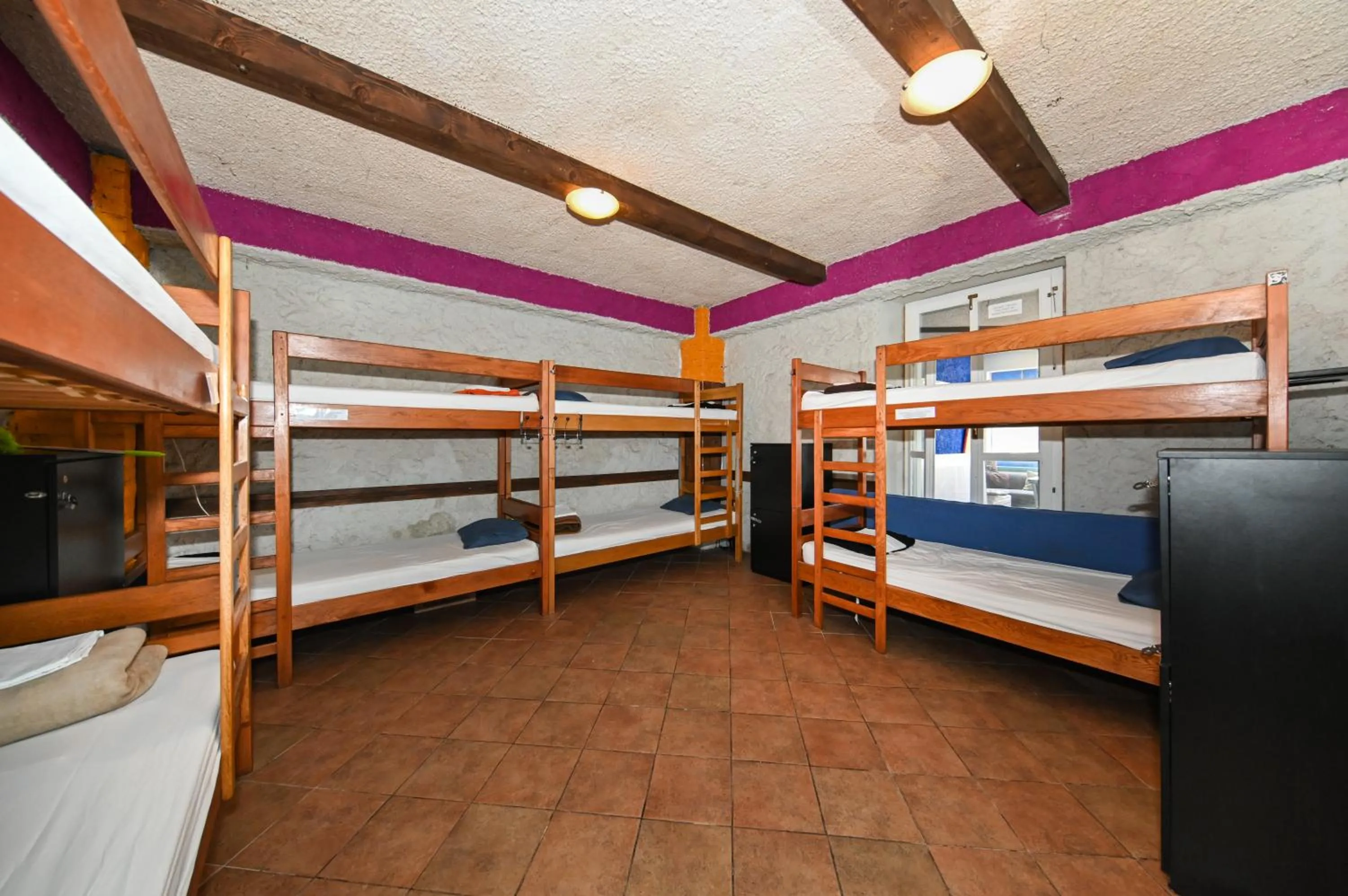 The Lazy Monkey Hostel & Apartments