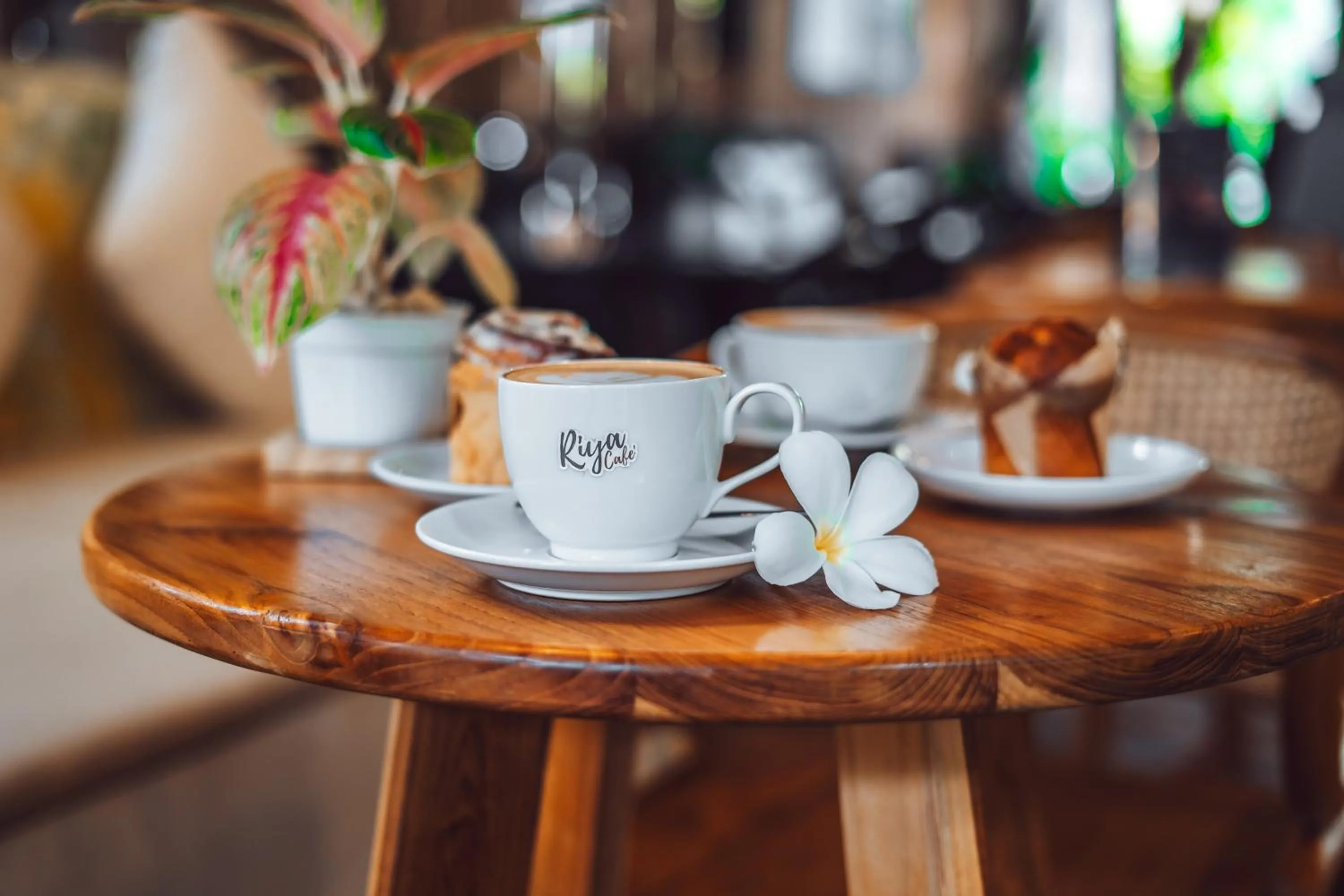 Lounge or bar in Dusit Buncha Koh Tao by Riya Group