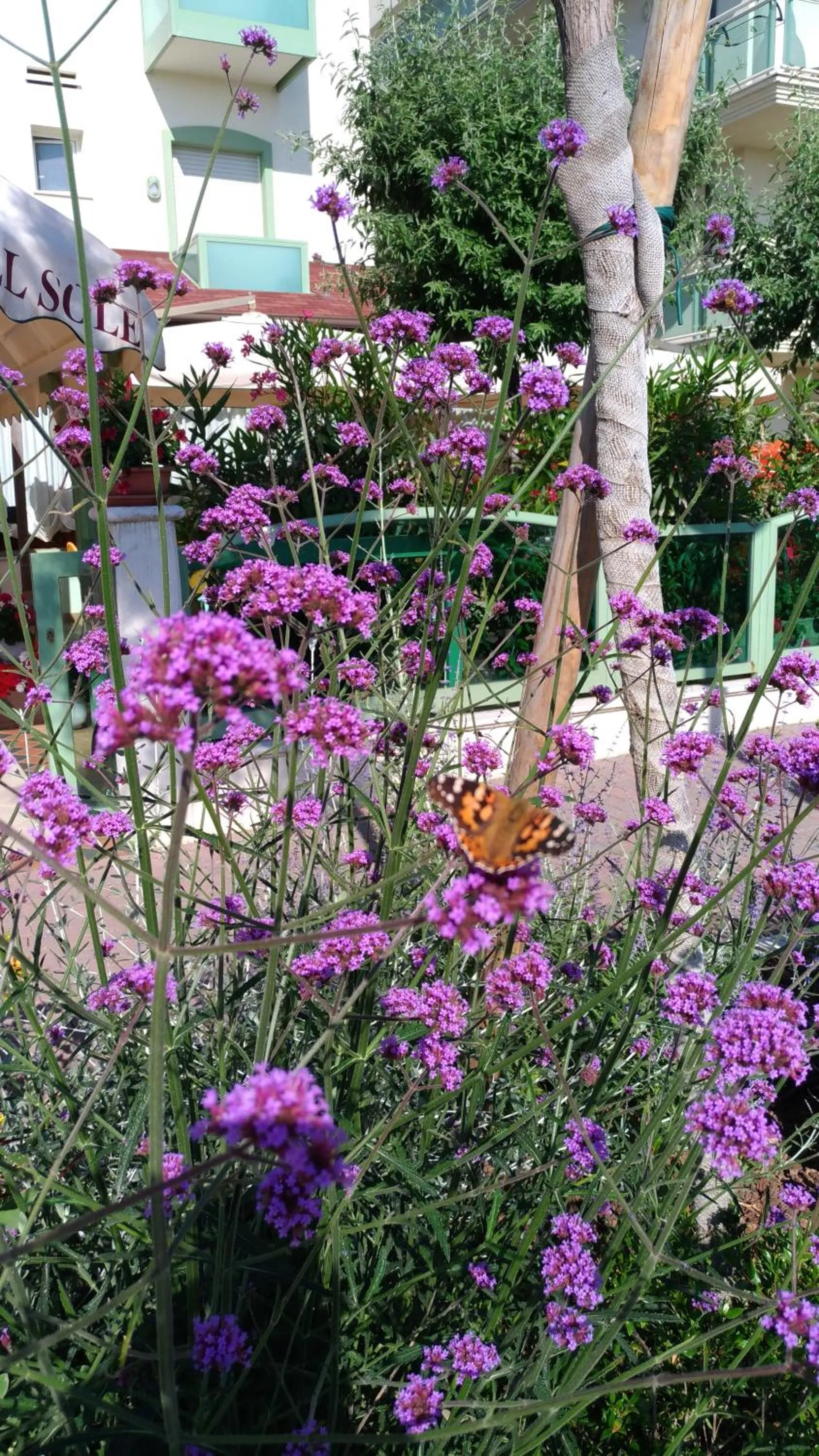 Costa del Sole Only Room