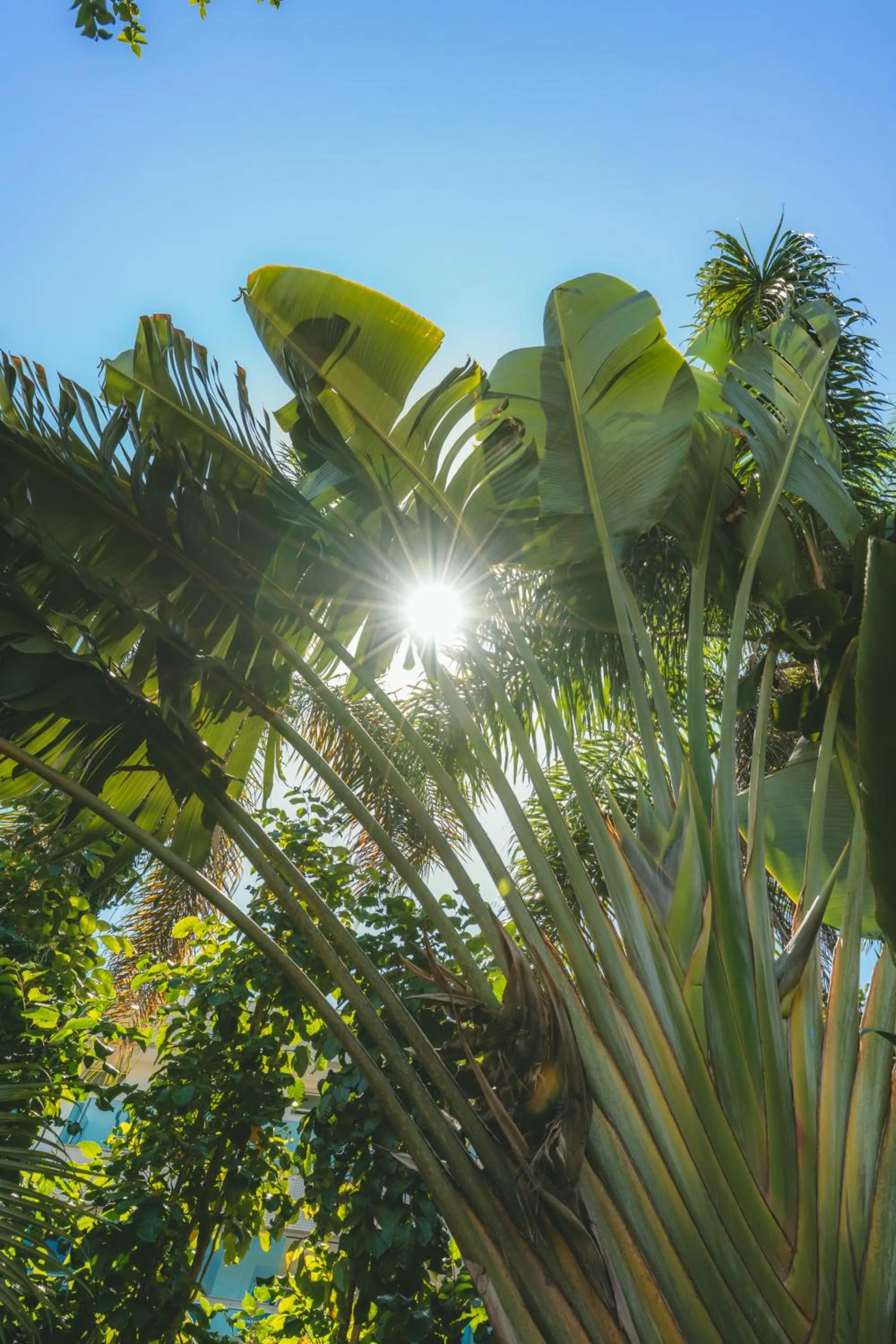 Pousada Vila Tamarindo Eco Lodge