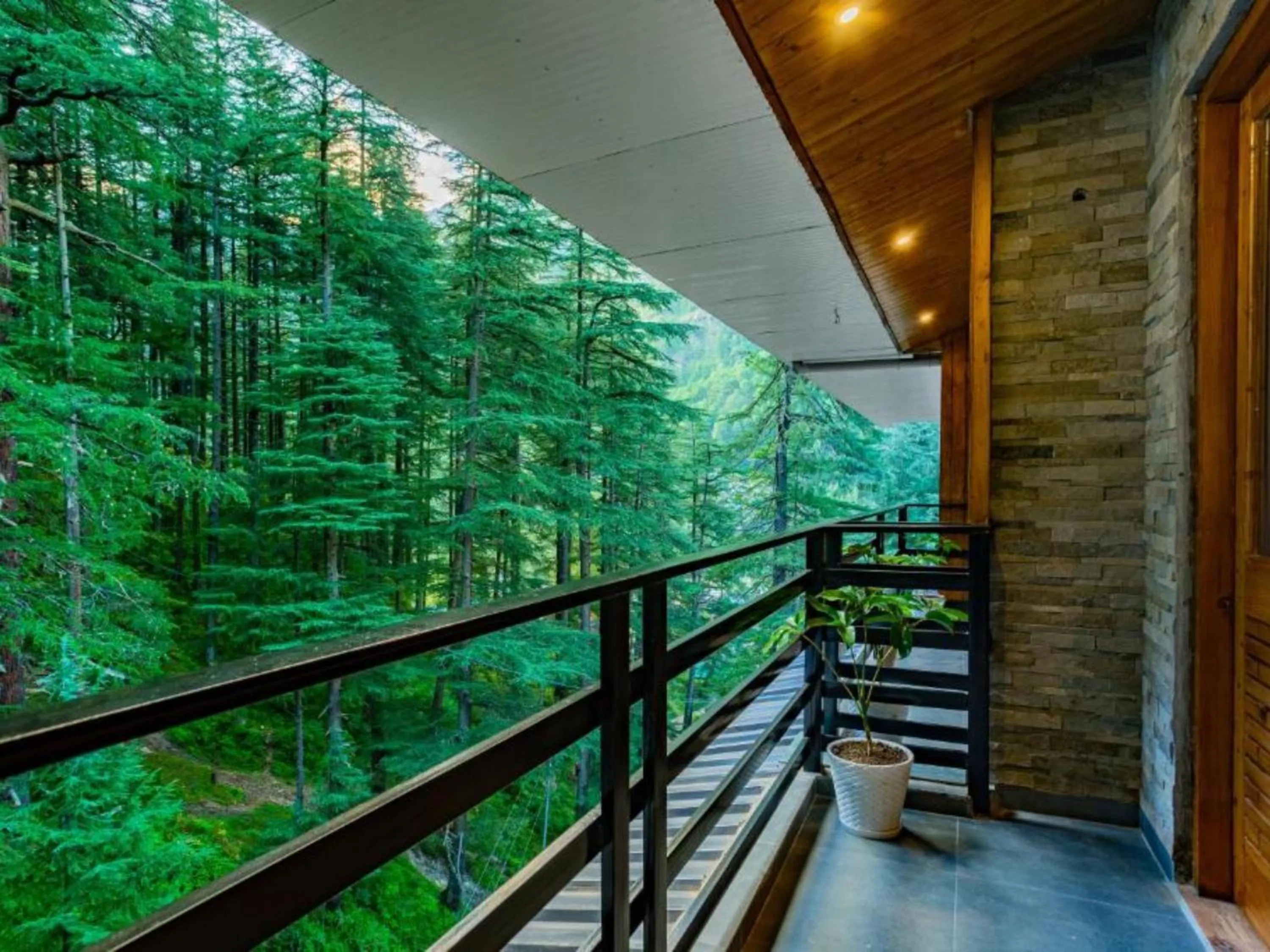 Spring in The Hosteller Kasol