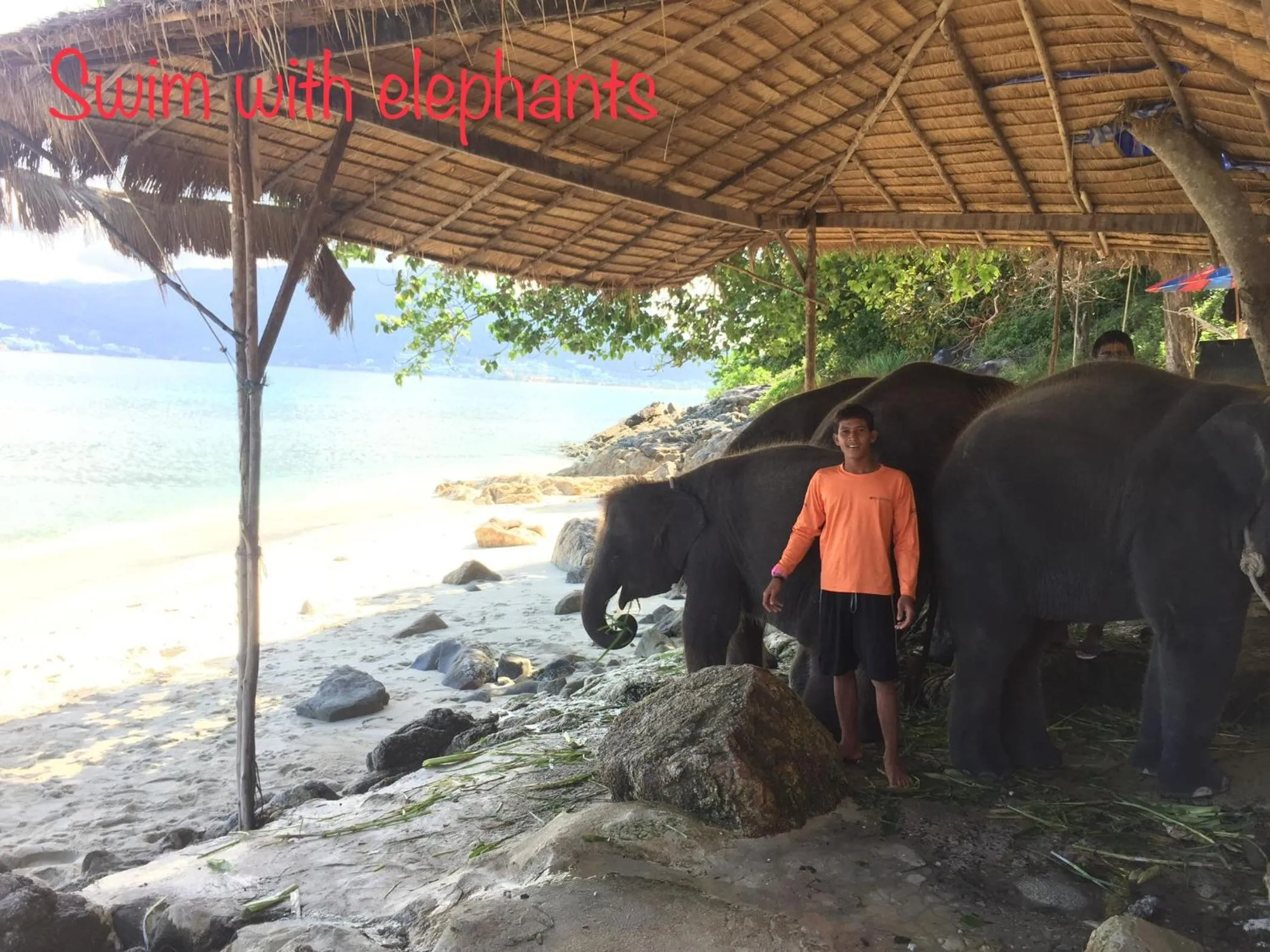 Beach in Q Victory Patong Hotel