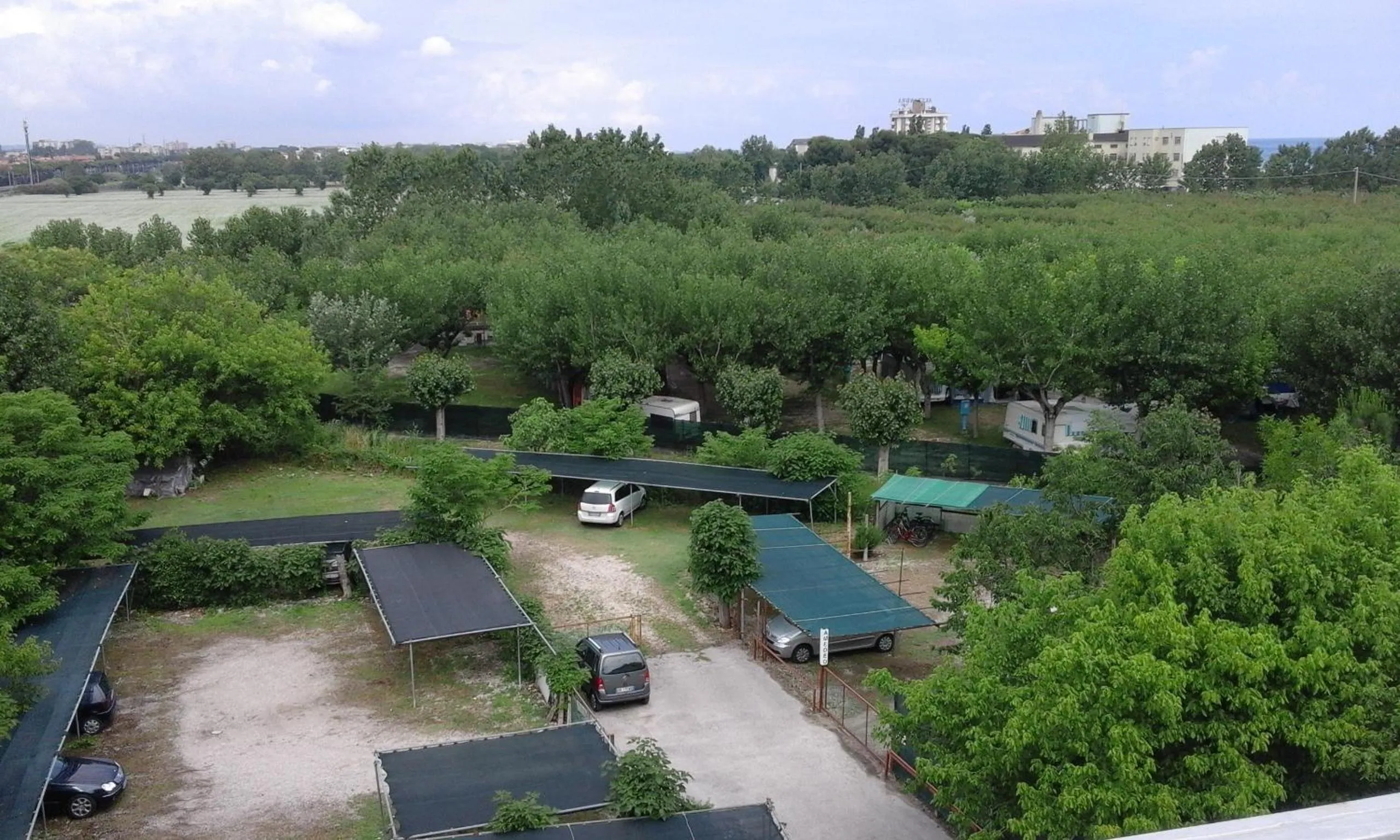 View (from property/room) in B&B - Meuble' - Hotel " CORDIALE "