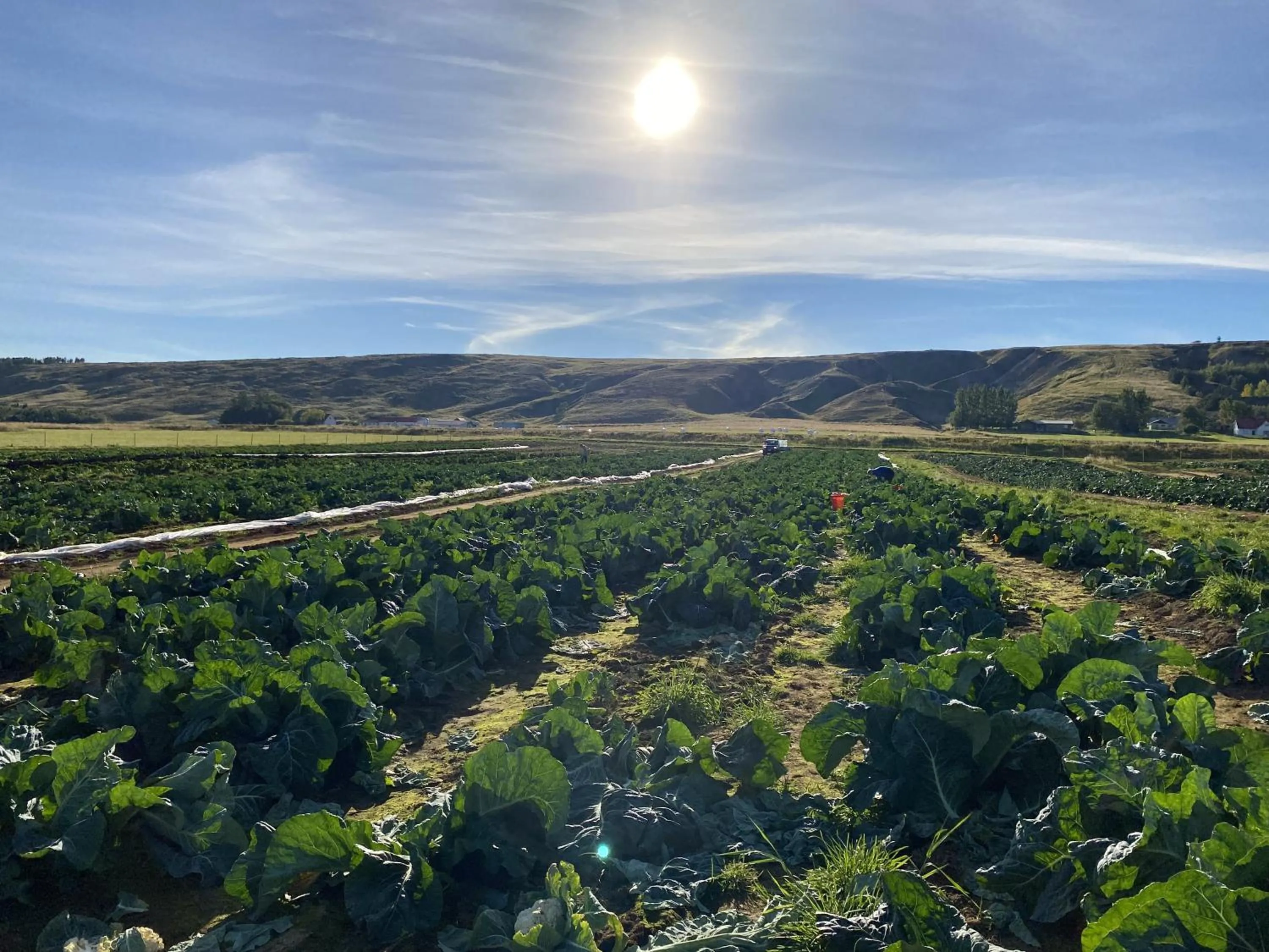 Vallakot Farm Guesthouse