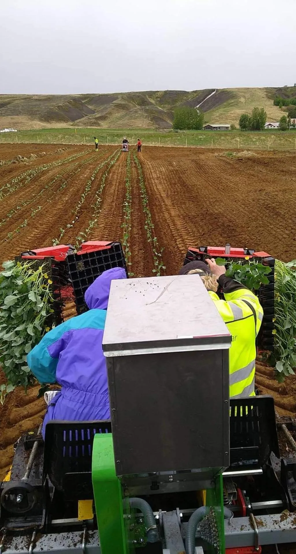 Vallakot Farm Guesthouse