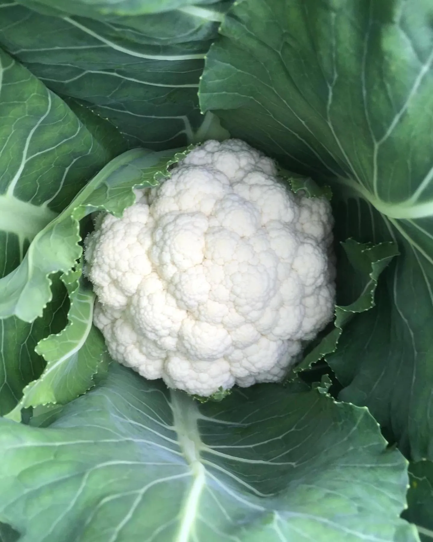 Vallakot Farm Guesthouse