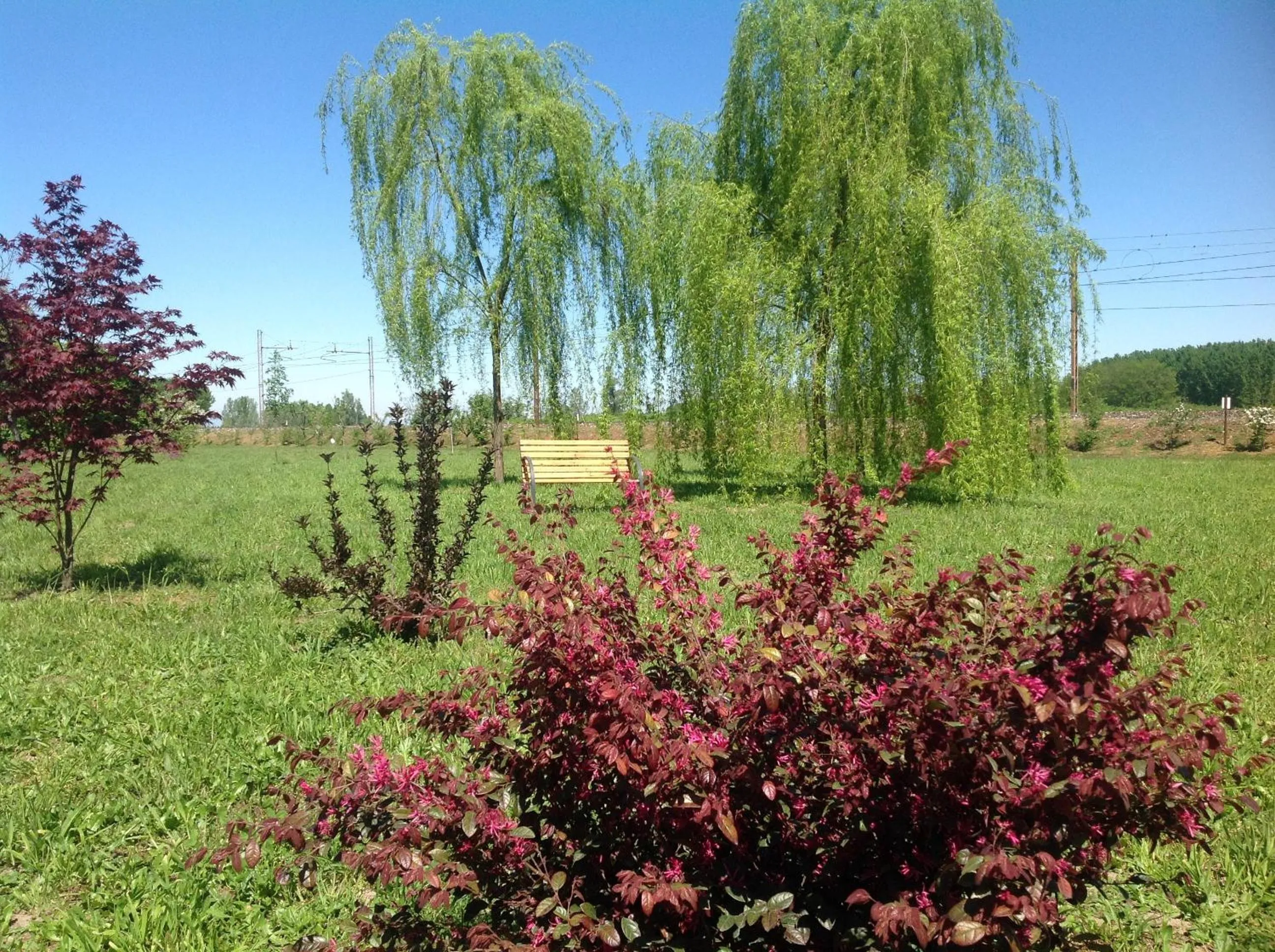 Garden in B&B La Castellana