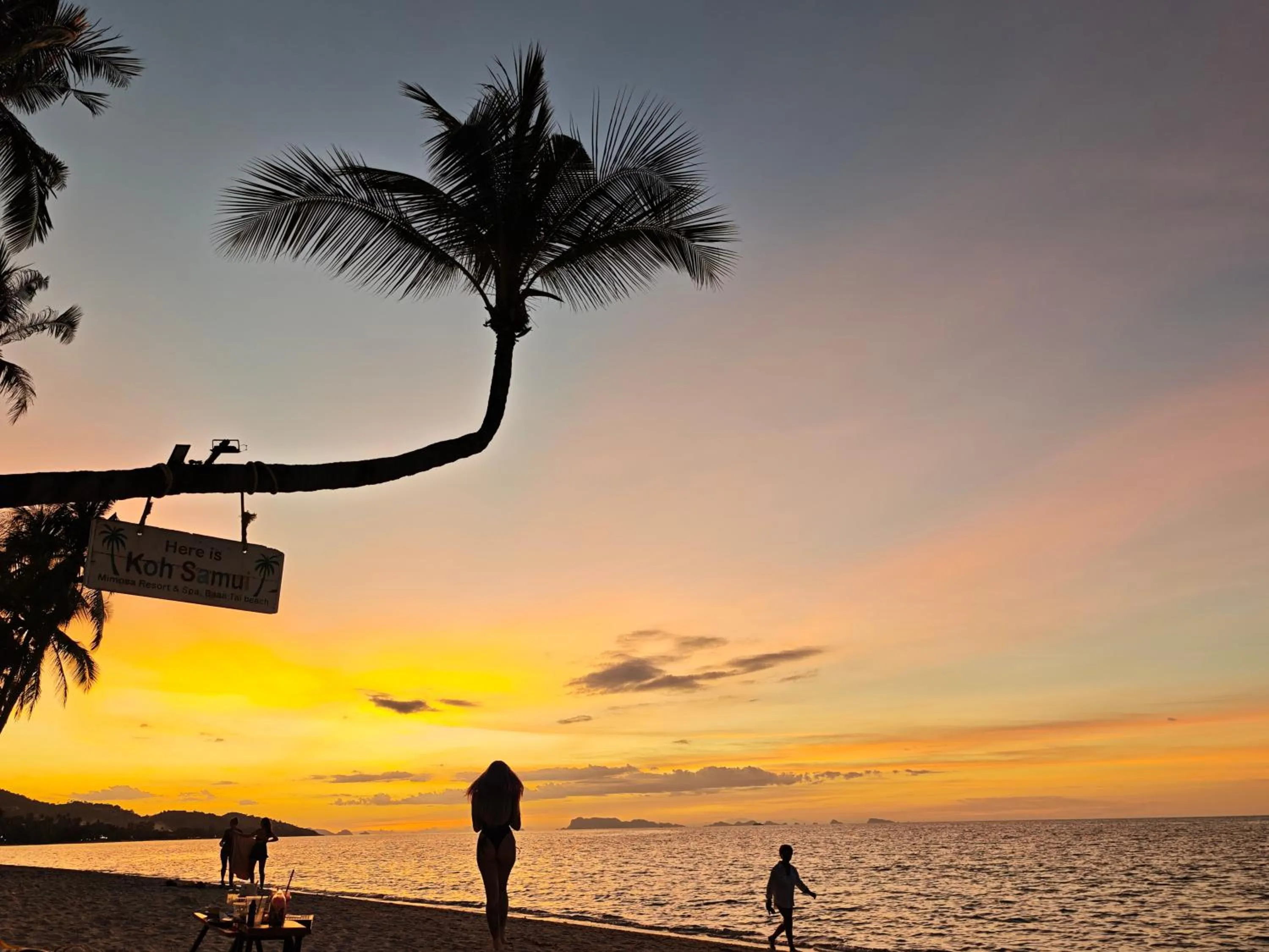 Beach in Mimosa Resort & Spa