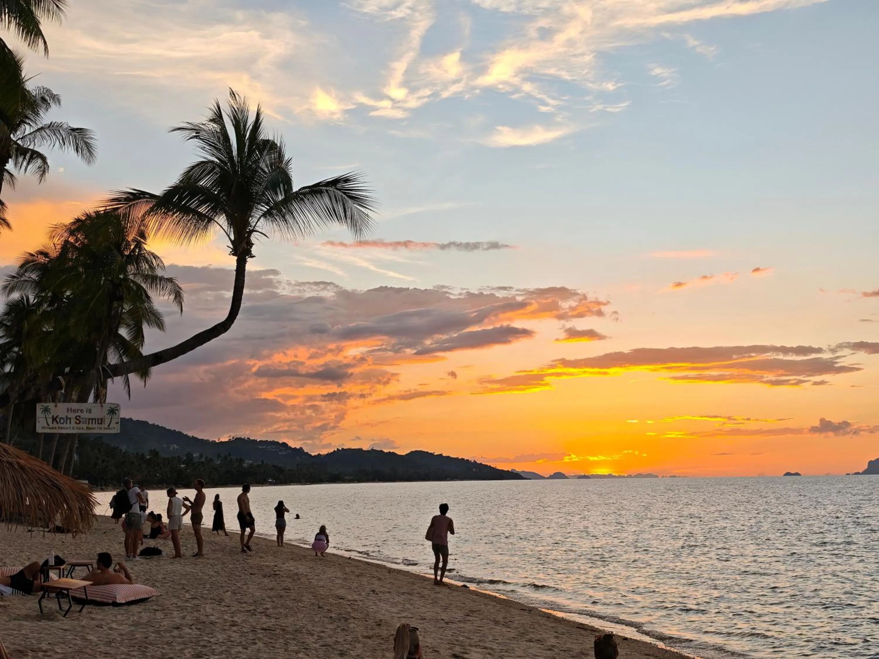 Beach in Mimosa Resort & Spa