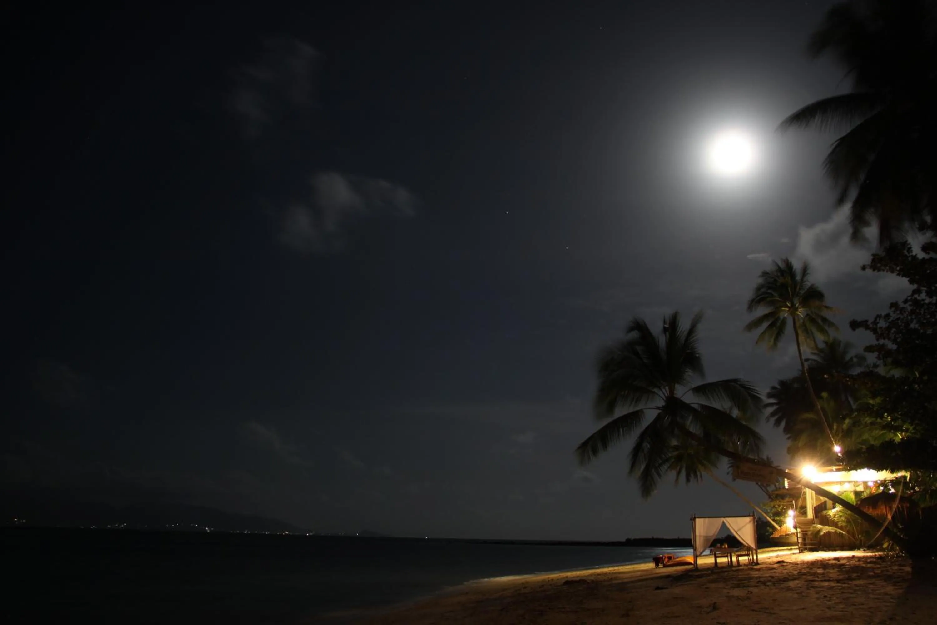 Sea view in Mimosa Resort & Spa