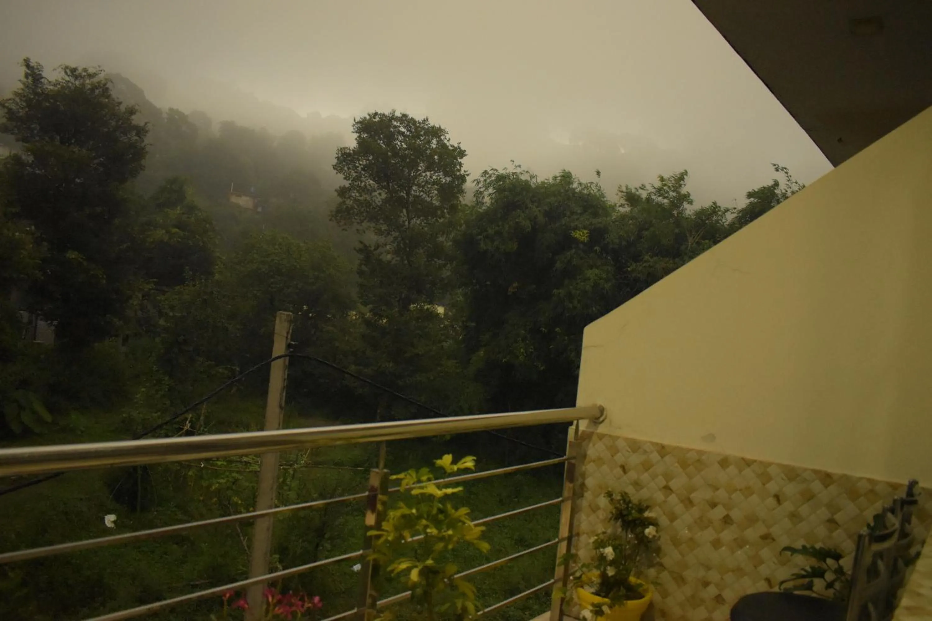 View (from property/room) in Hotel Nature's View