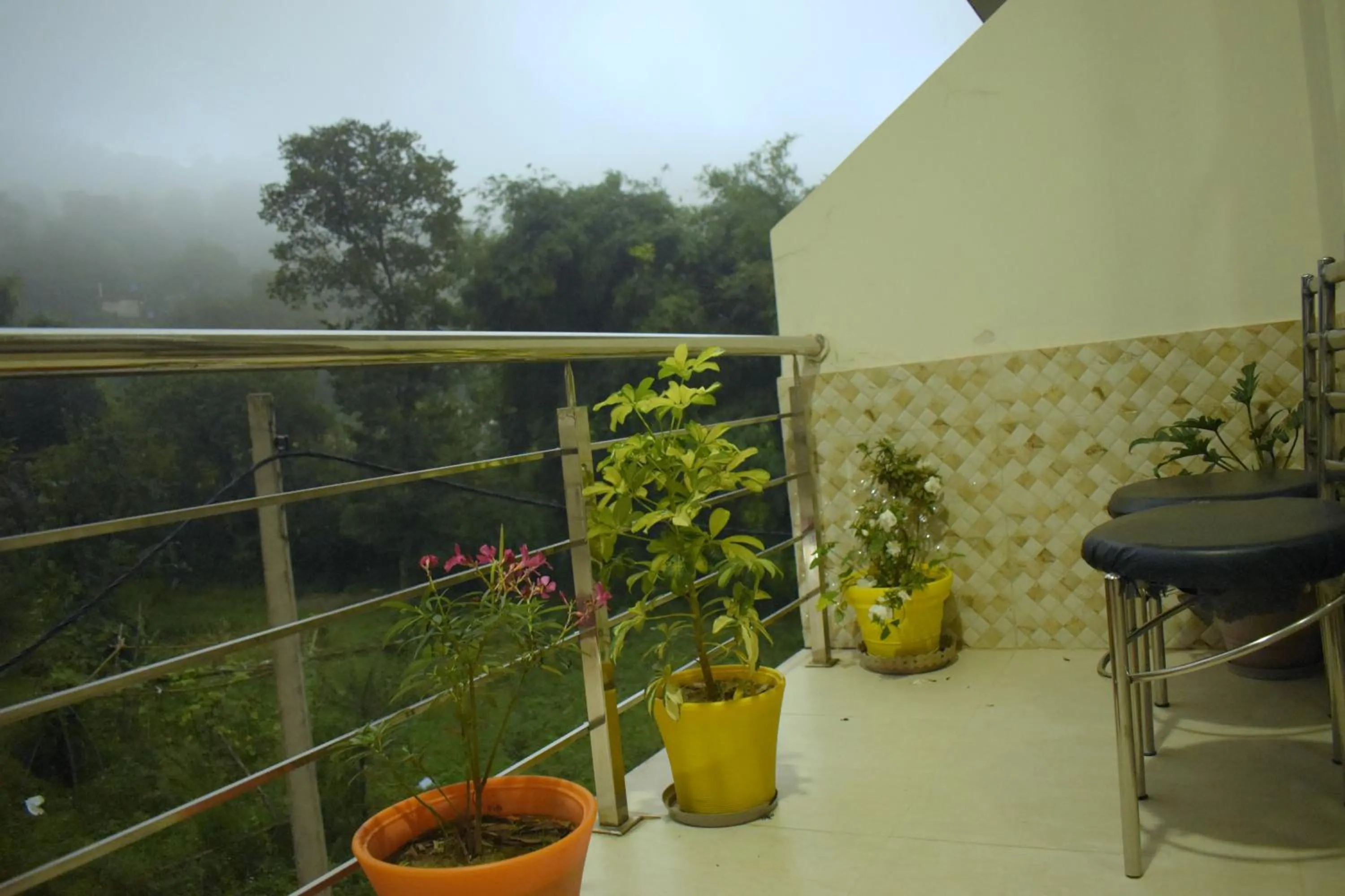 View (from property/room) in Hotel Nature's View