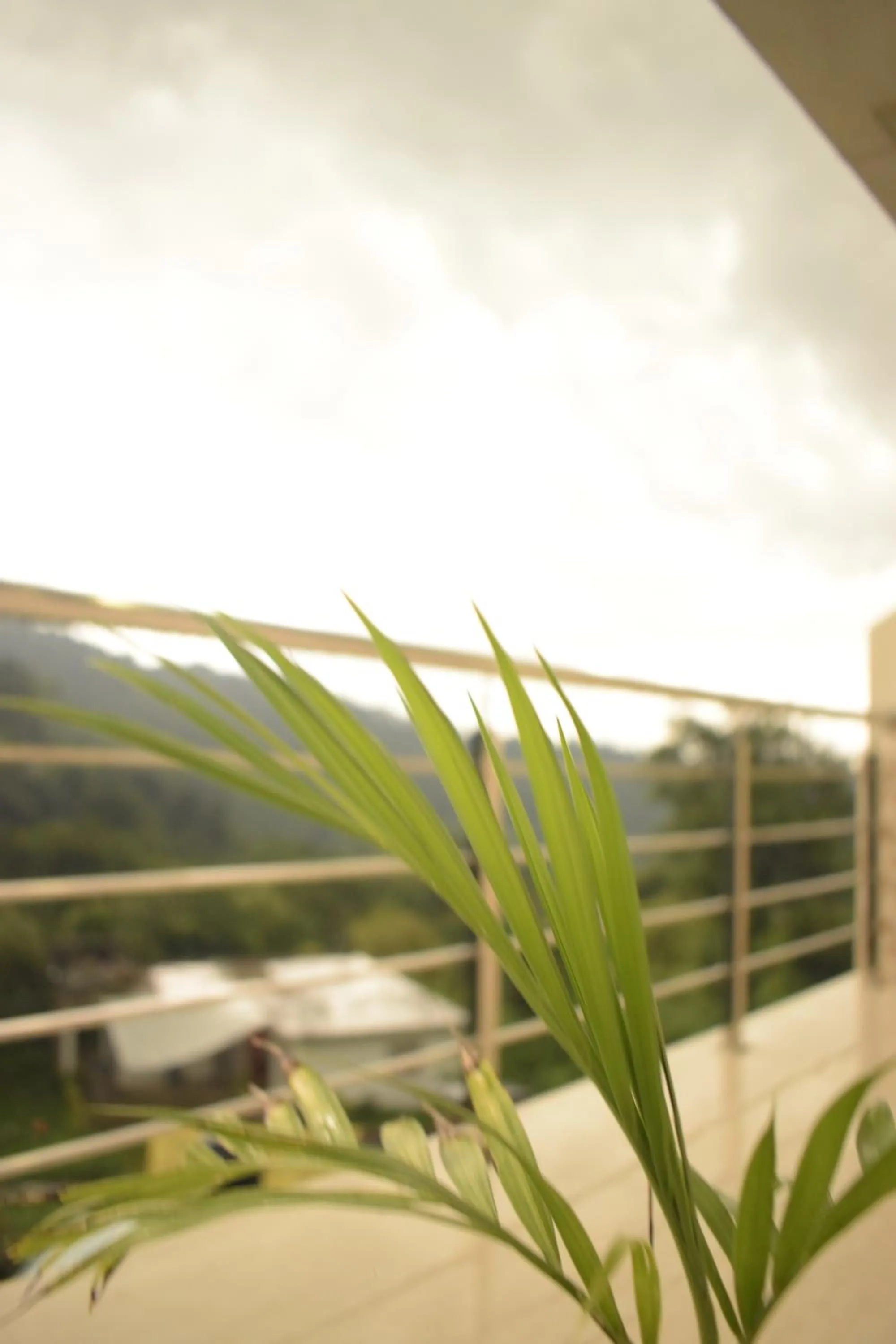 Natural landscape in Hotel Nature's View