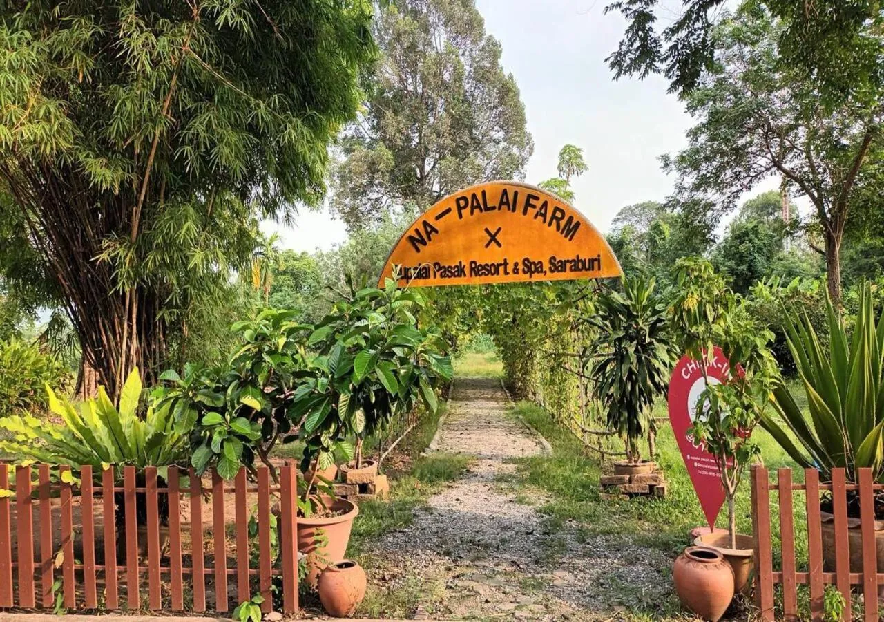 Day in Supalai Pasak Resort Hotel And Spa