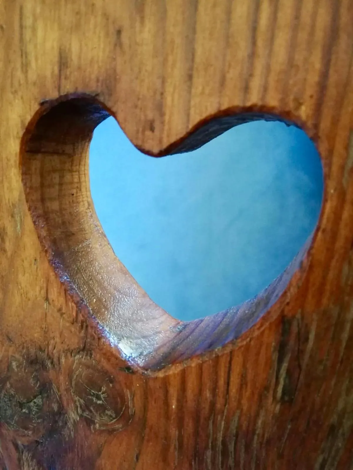 Decorative detail in HOTEL Jerolitsch