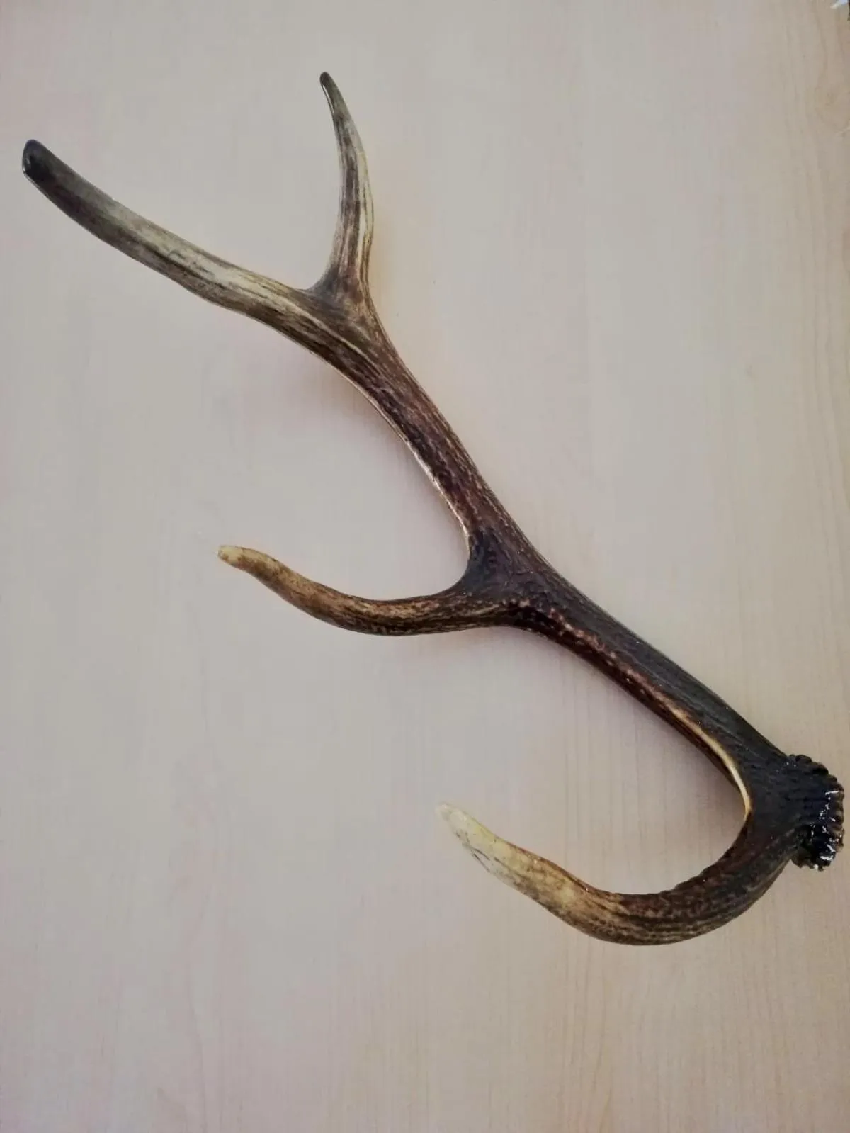 Decorative detail in HOTEL Jerolitsch