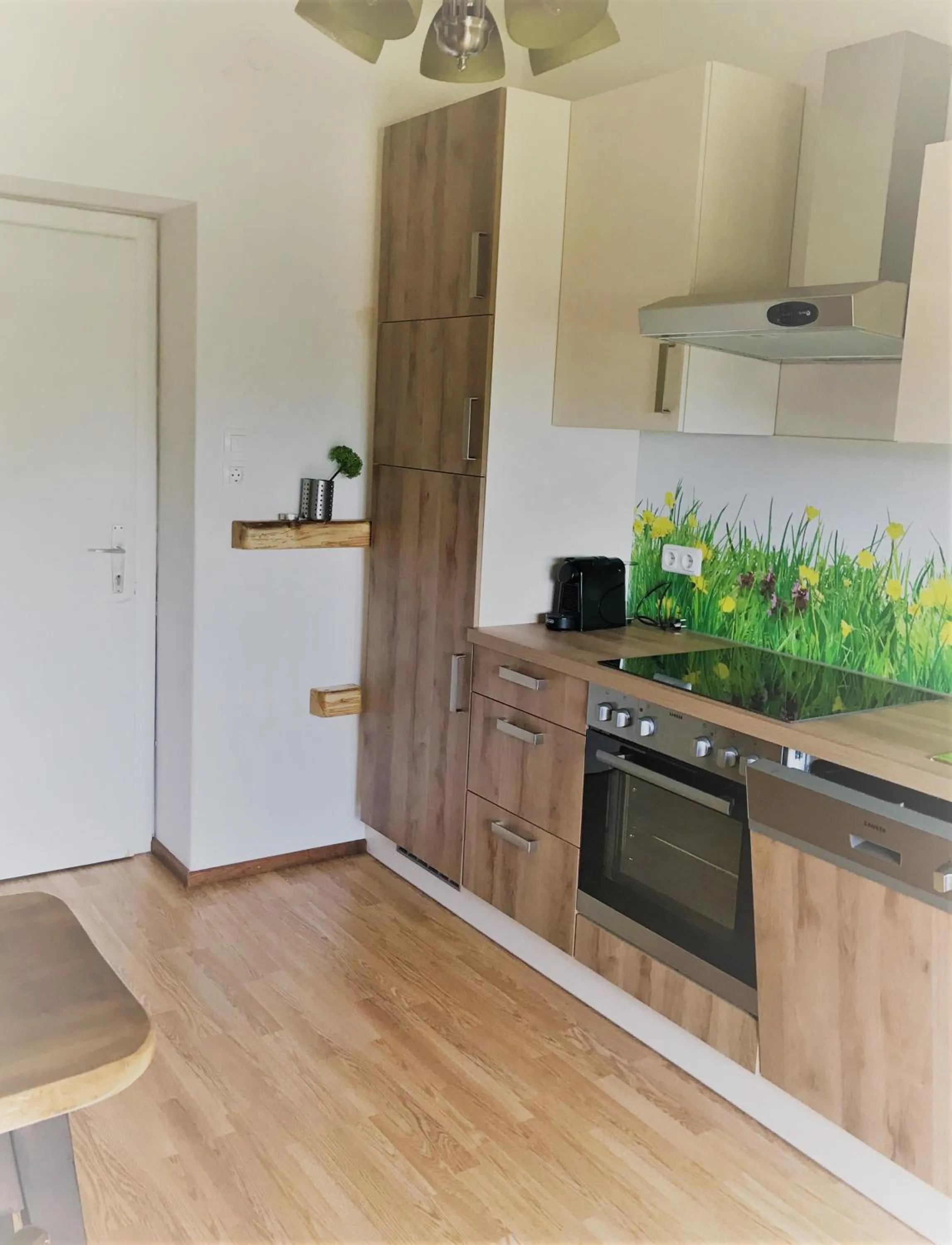 Kitchen or kitchenette in HOTEL Jerolitsch