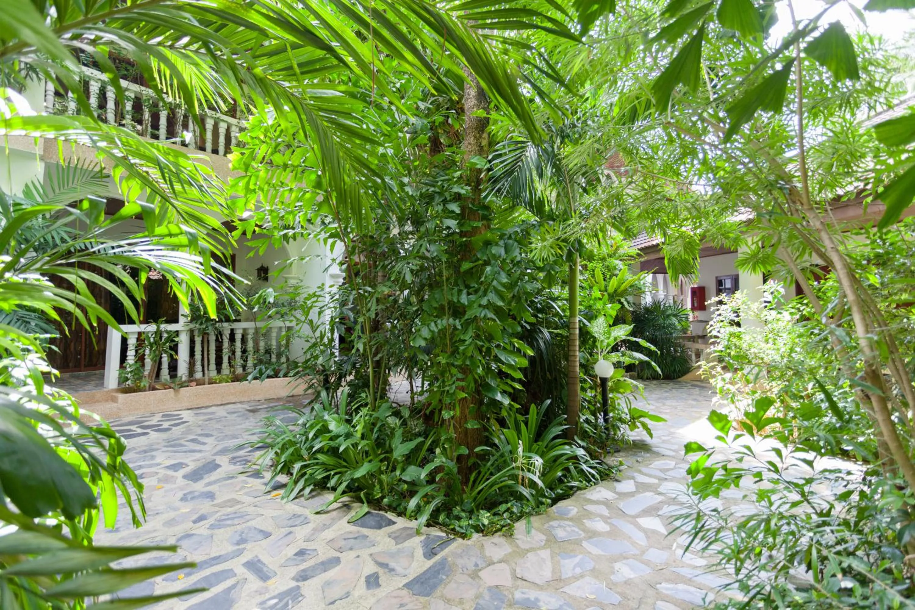 Garden in Tropica Bungalow Beach Hotel