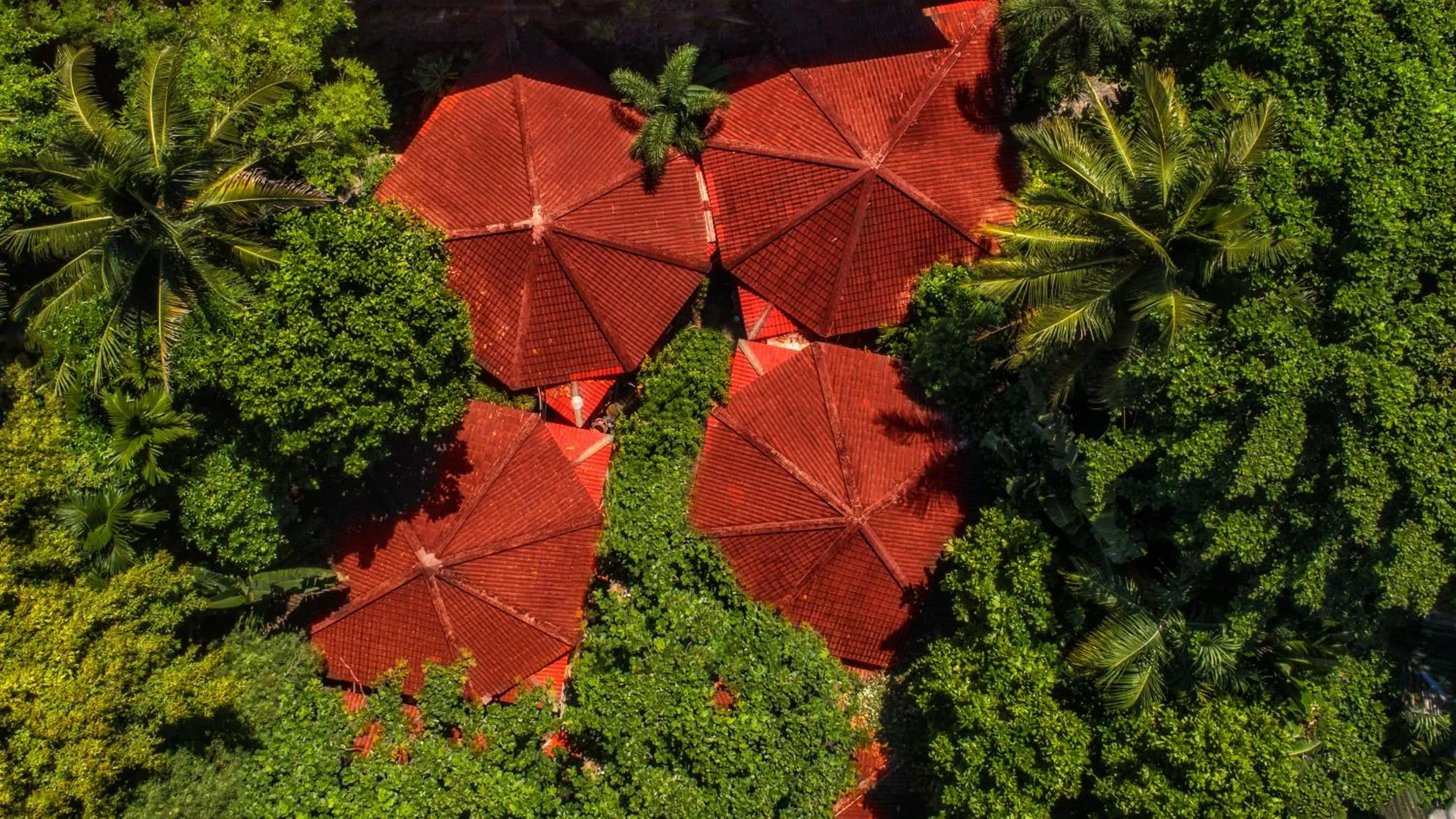 Bird's eye view in Tropica Bungalow Beach Hotel