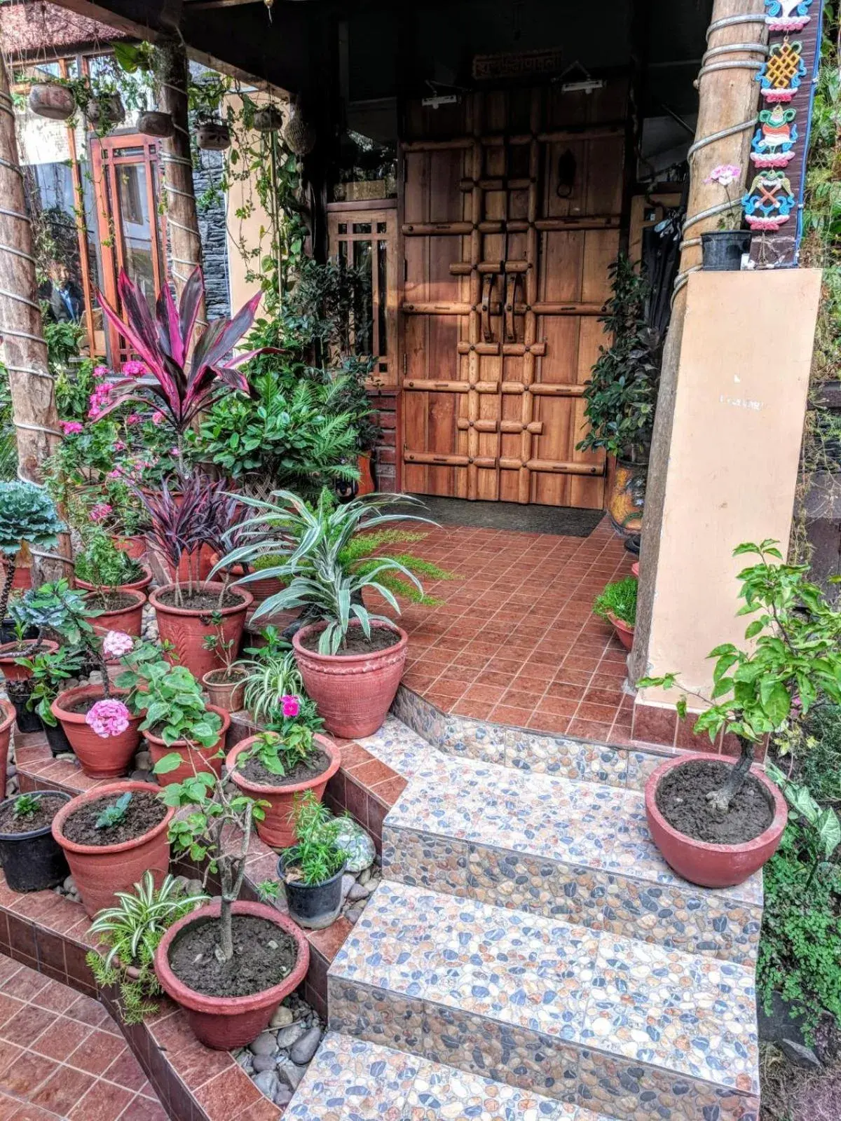 The Divine Hima The Divine Hima