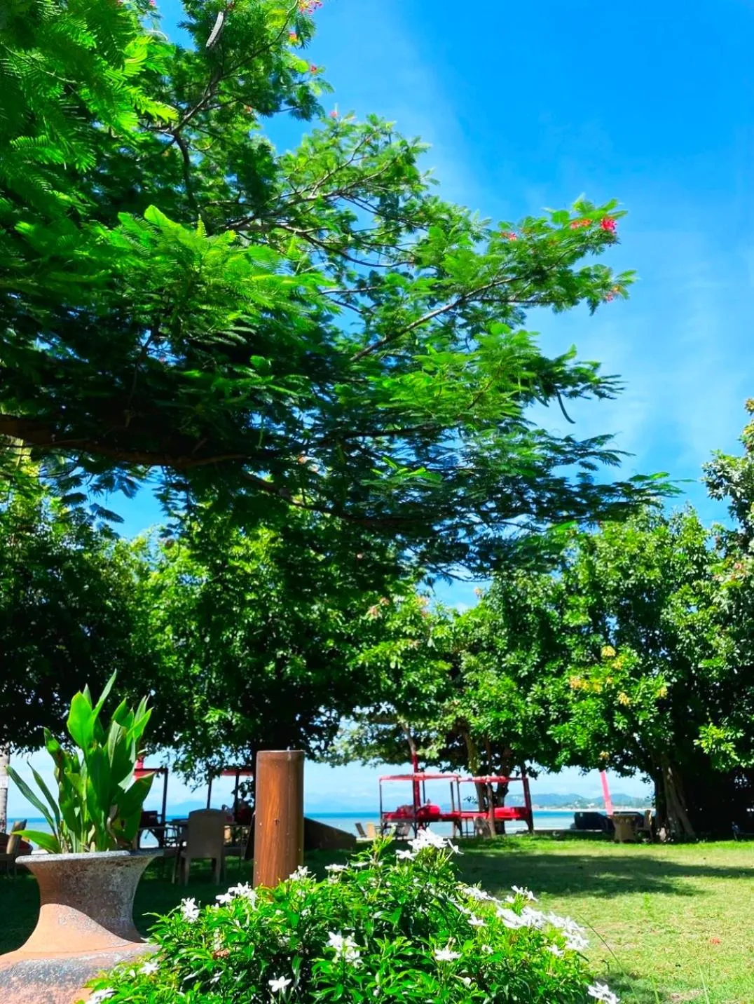 Garden in Beach Republic Koh Samui