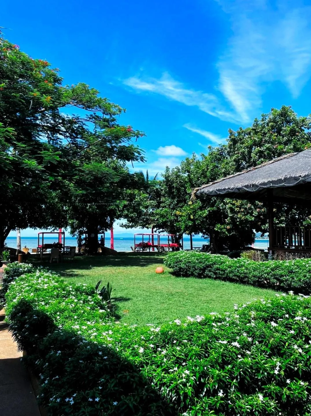 Garden in Beach Republic Koh Samui