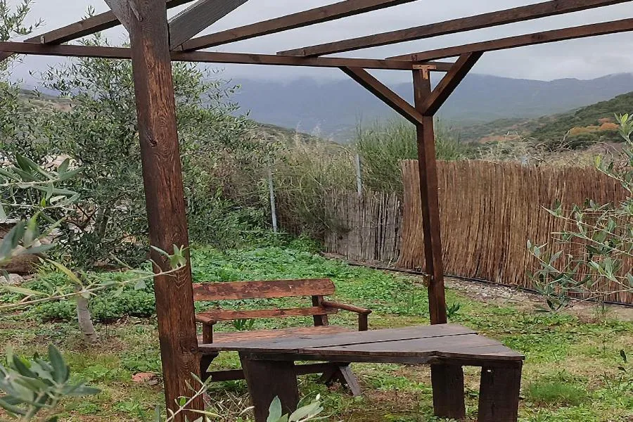 Socrates Organic Village - Wild Olive