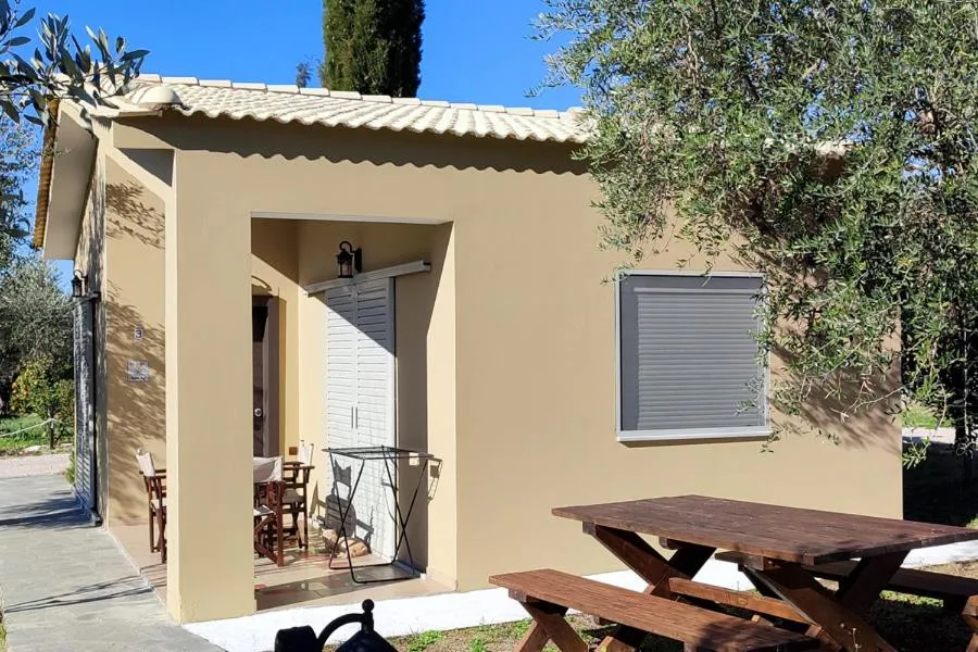 Socrates Organic Village - Wild Olive