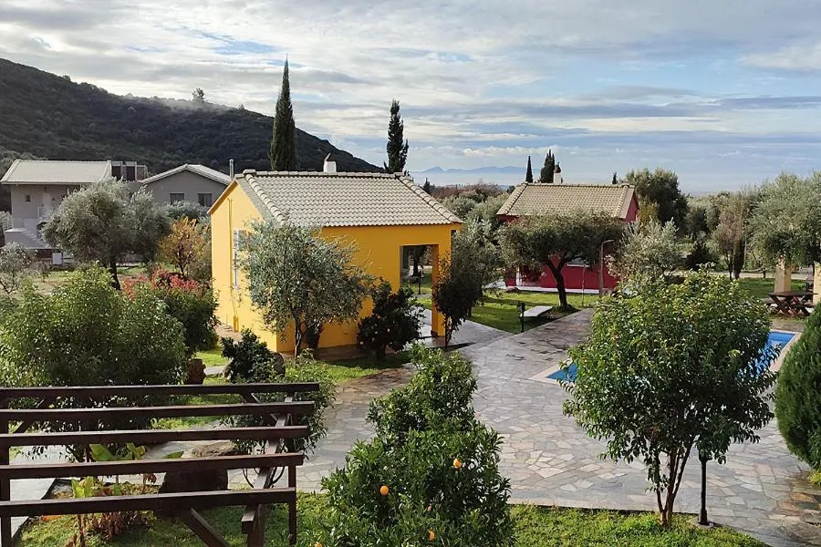 Socrates Organic Village - Wild Olive