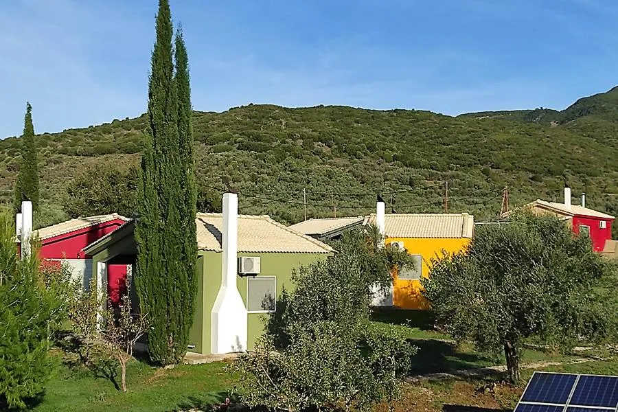 Socrates Organic Village - Wild Olive