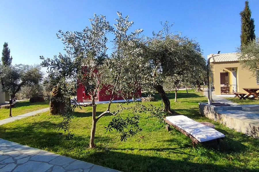 Socrates Organic Village - Wild Olive