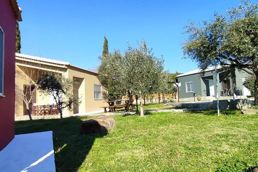 Socrates Organic Village - Wild Olive